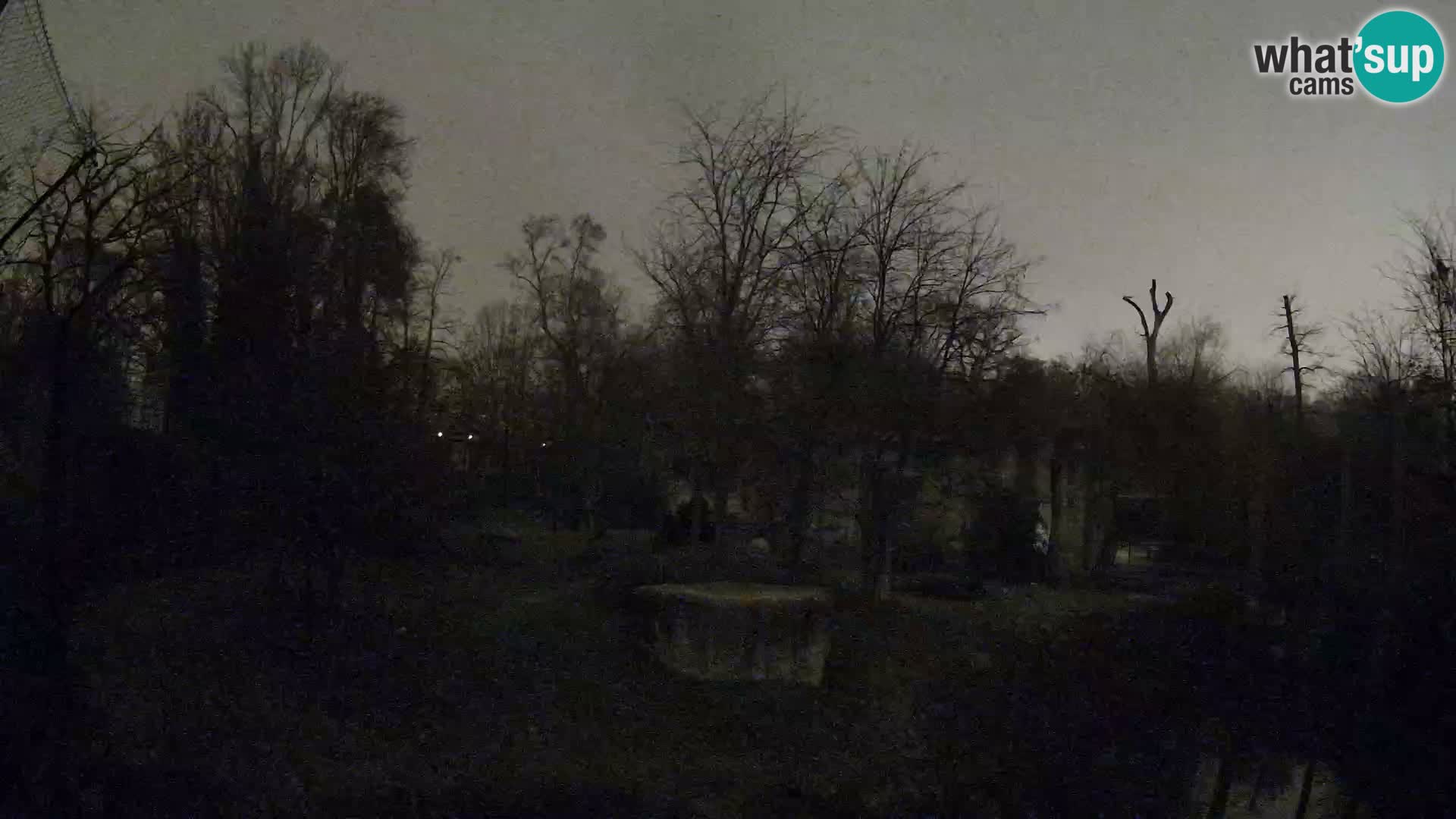 Zoo Zagreb – Löwen