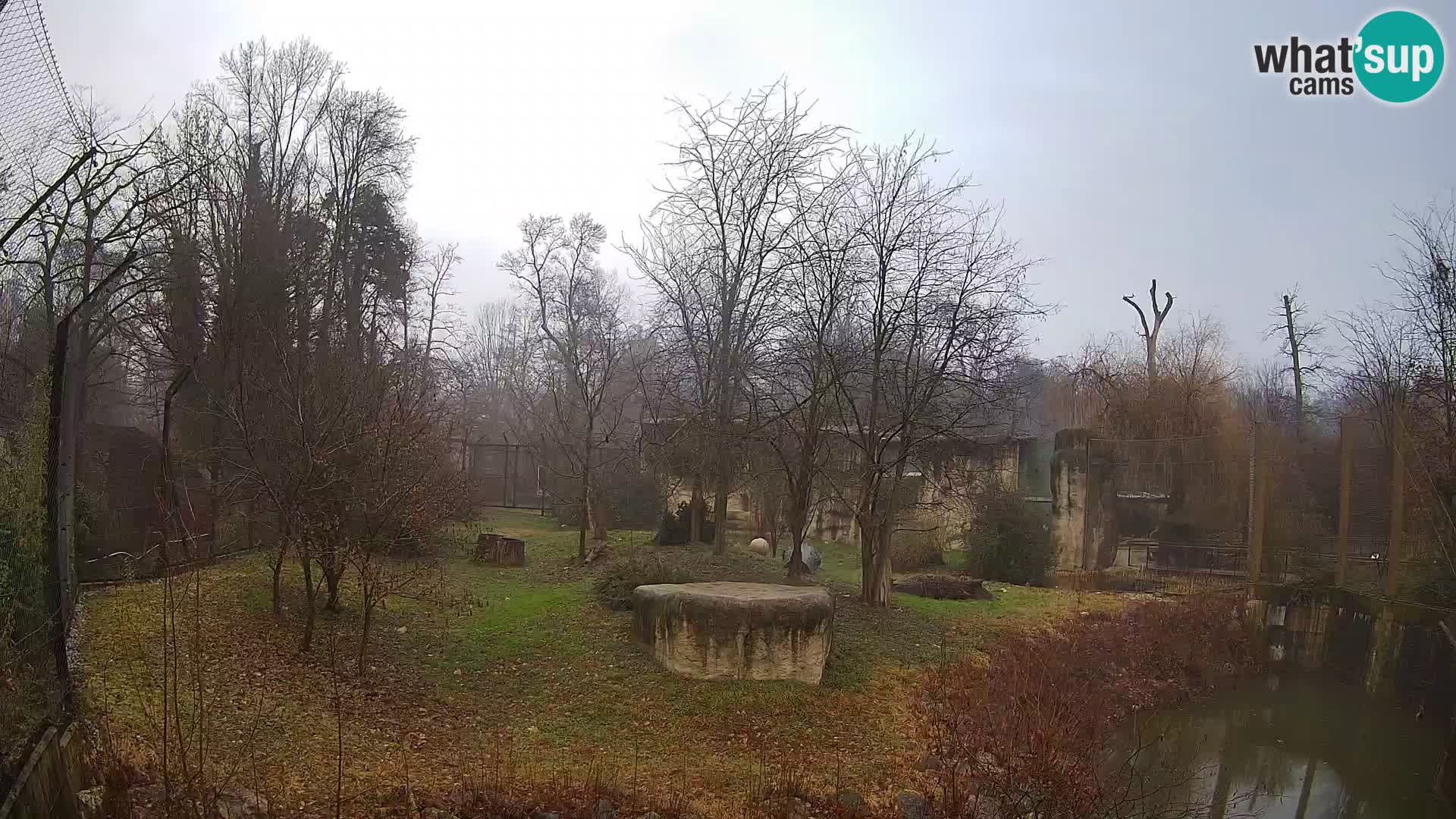 Zoo Zagreb – Löwen