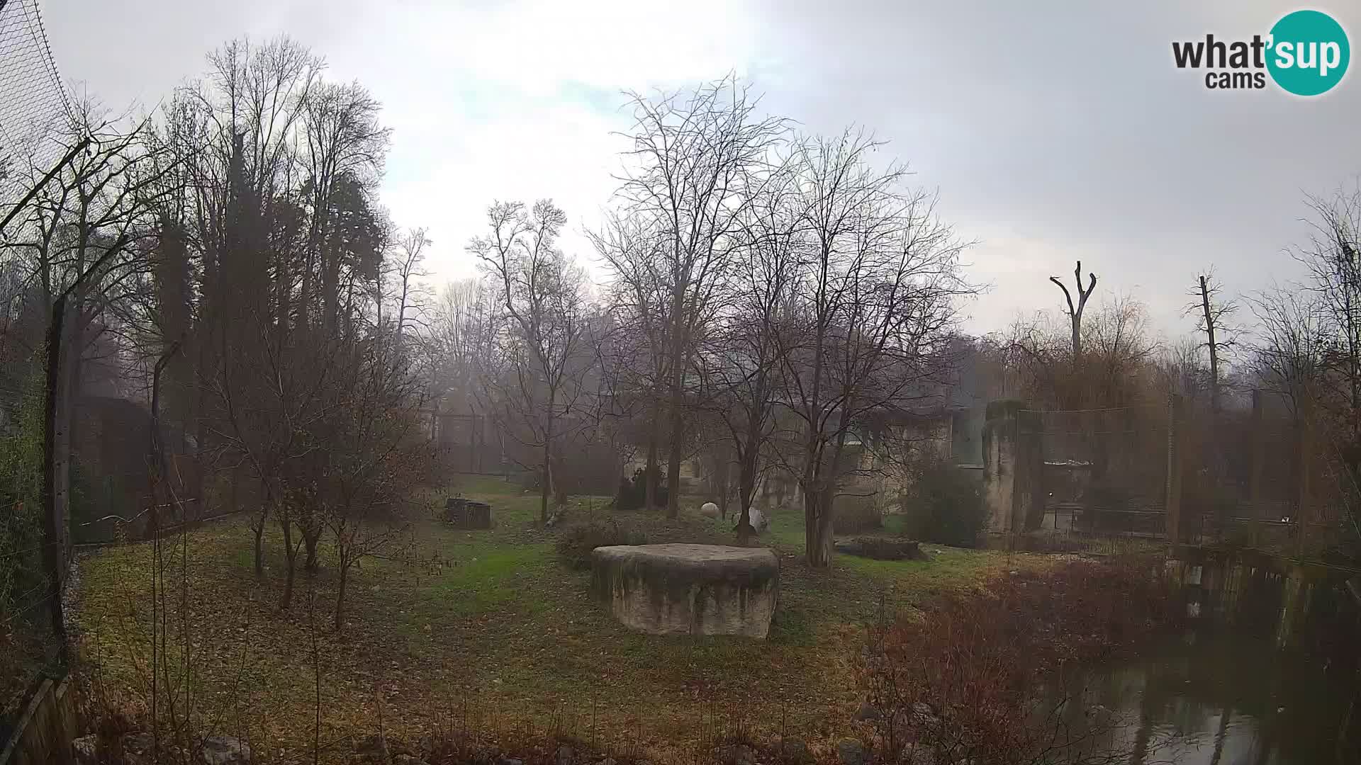 Zoo Zagreb – Löwen