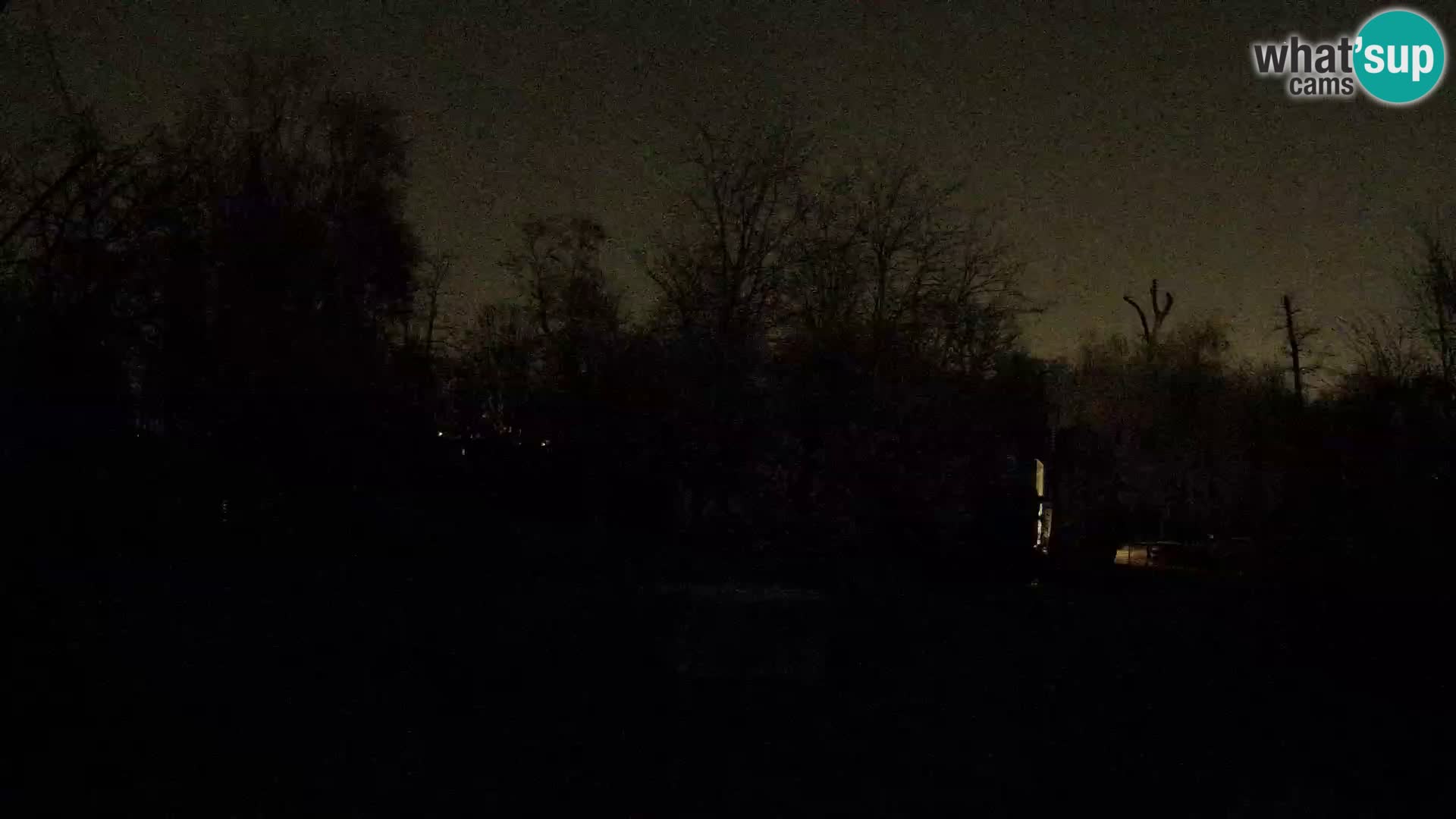 Zoo Zagreb – Leoni