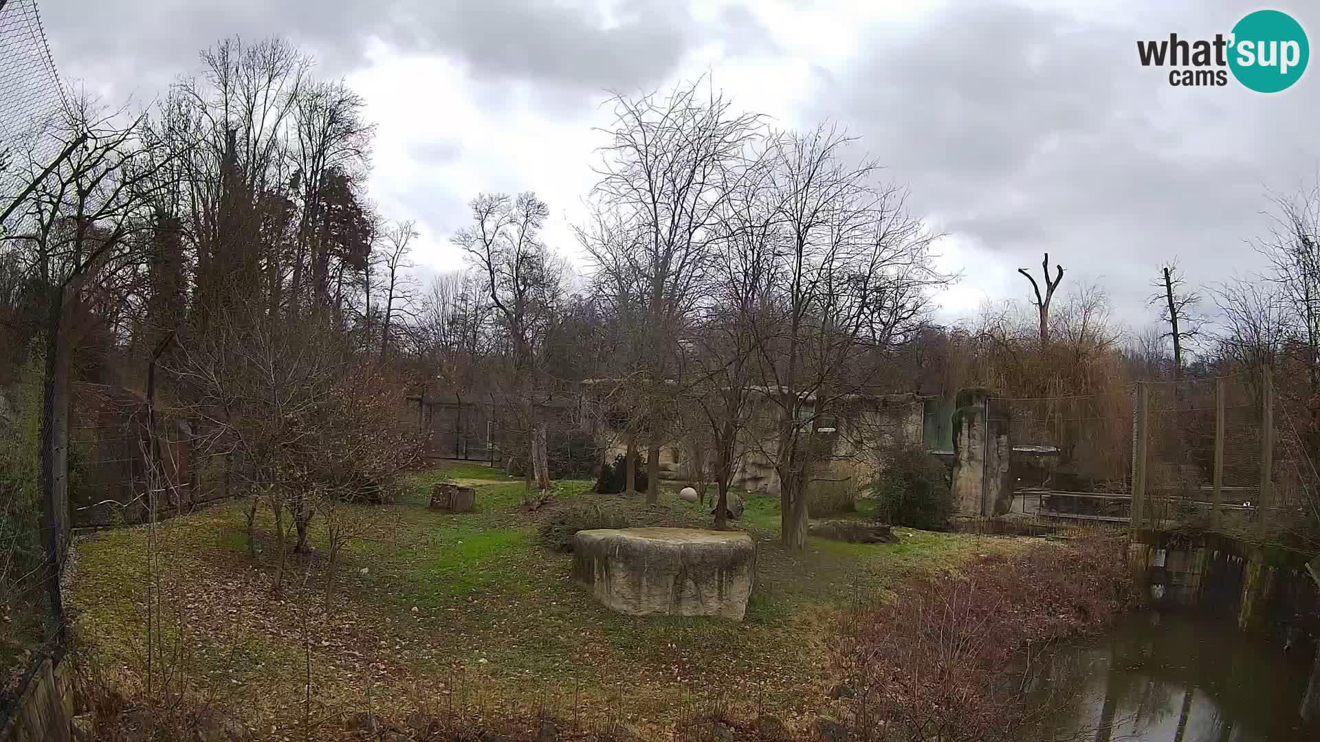 Zoo Zagreb – Leoni