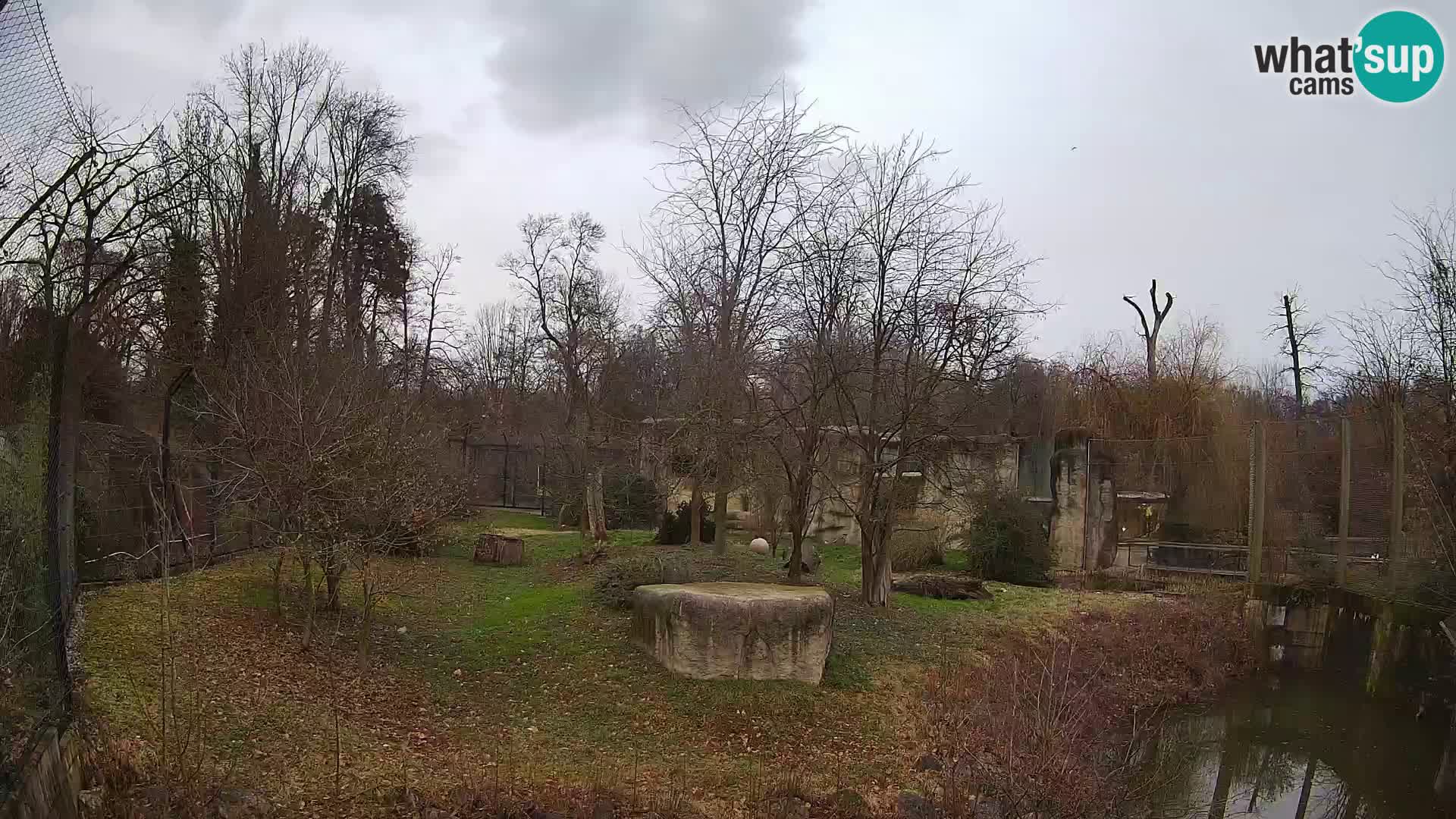 Zoo Zagreb – Leoni