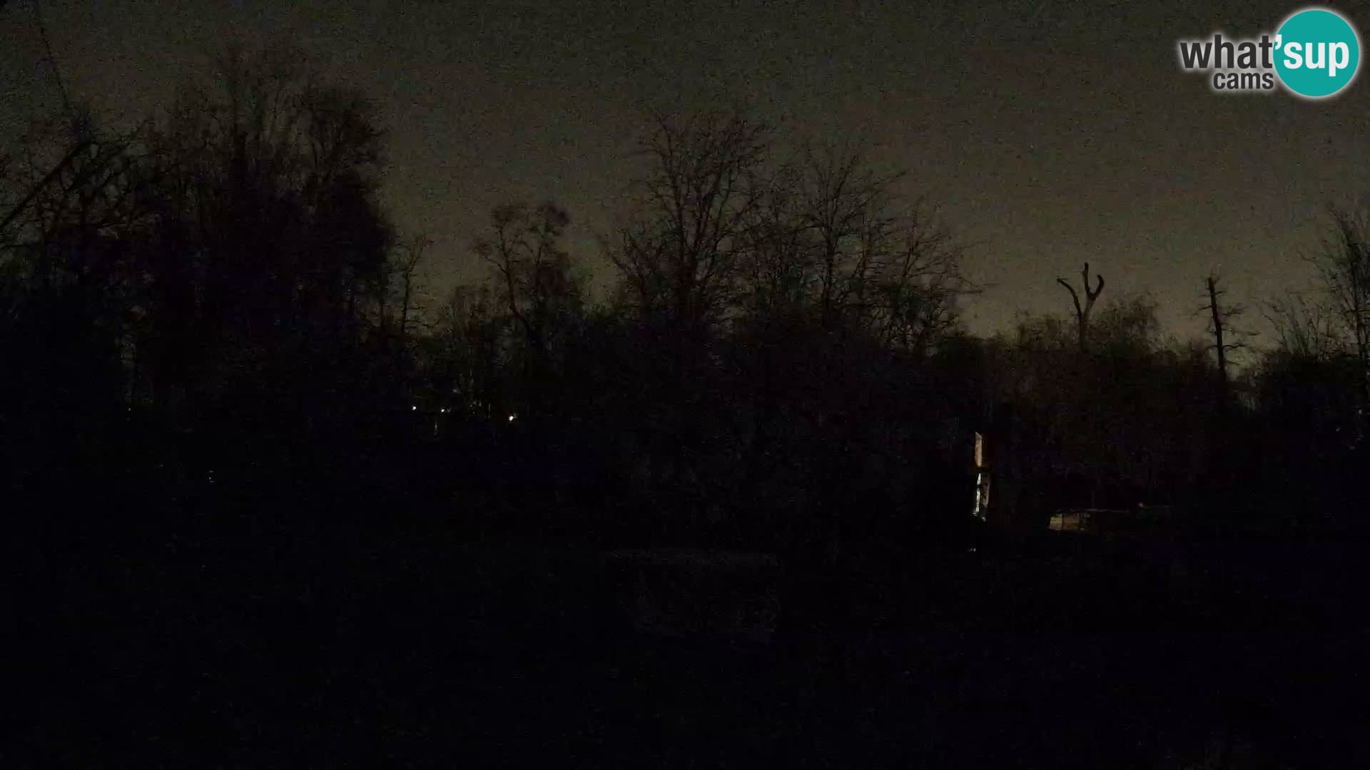 Zoo Zagreb – Löwen