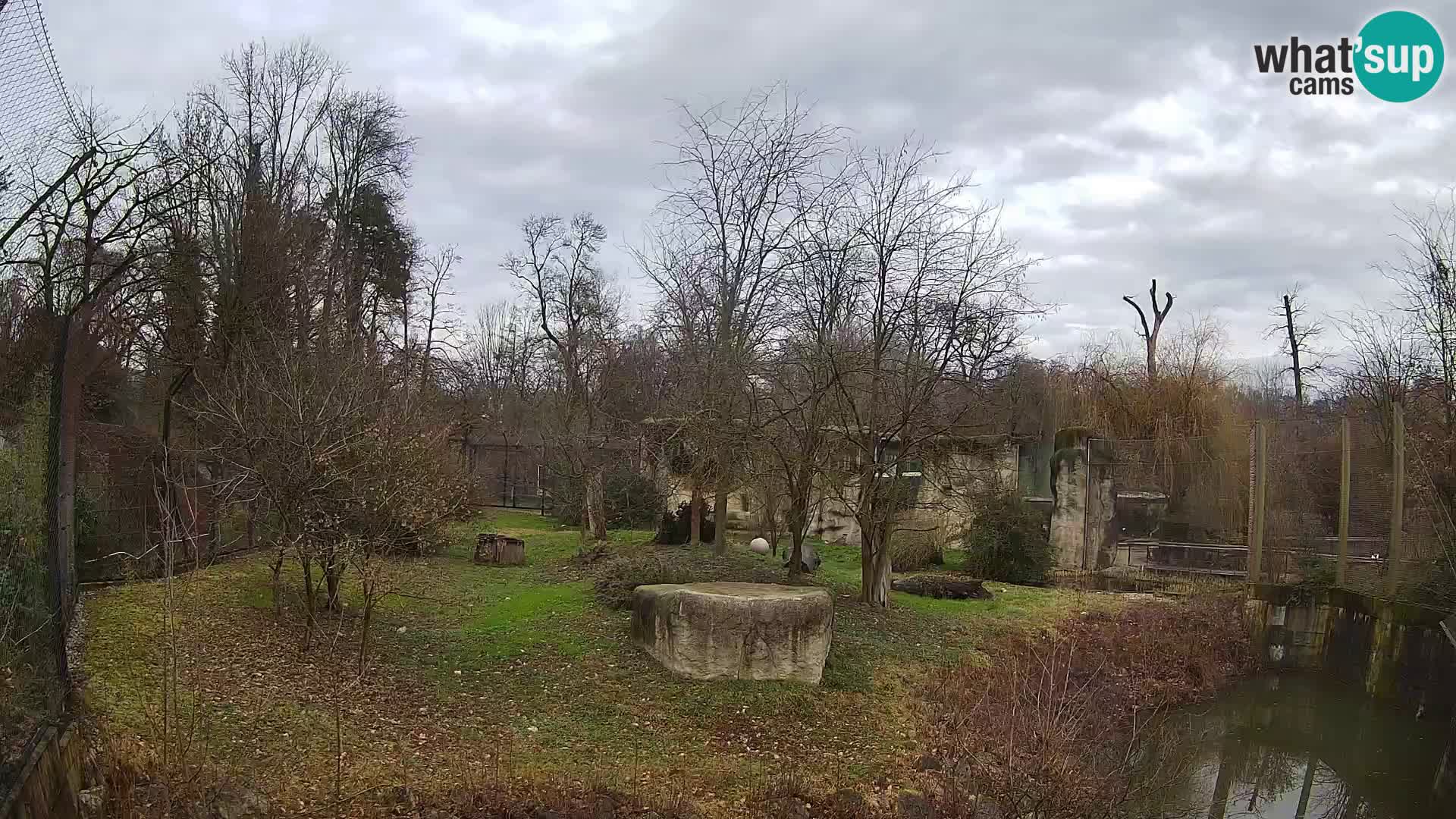 Spletna kamera Zoo Zagreb – Levi