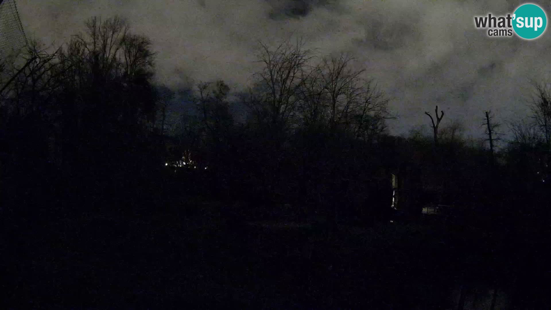 Zoo Zagreb – Lavovi