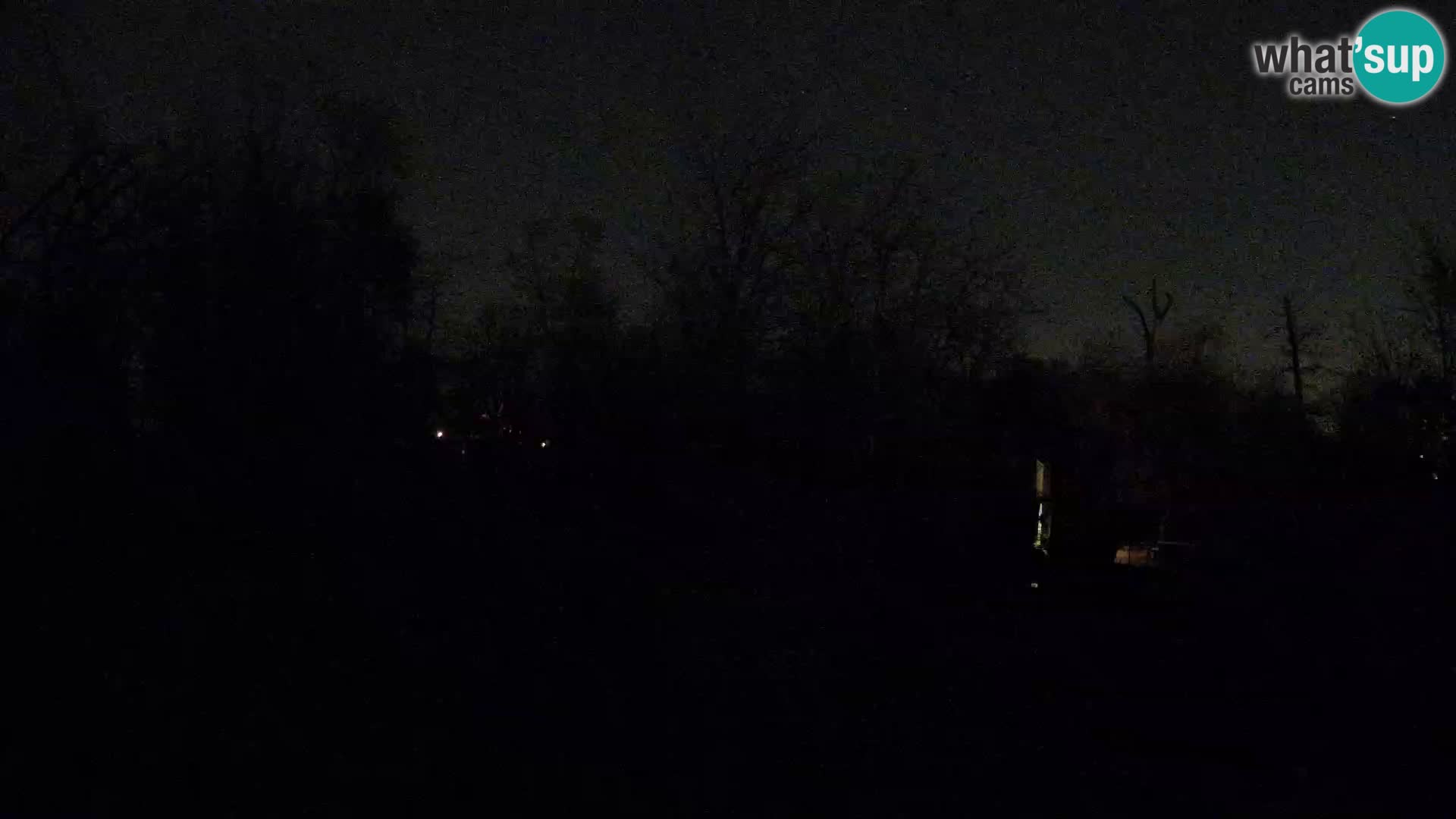 Zoo Zagreb – Lavovi