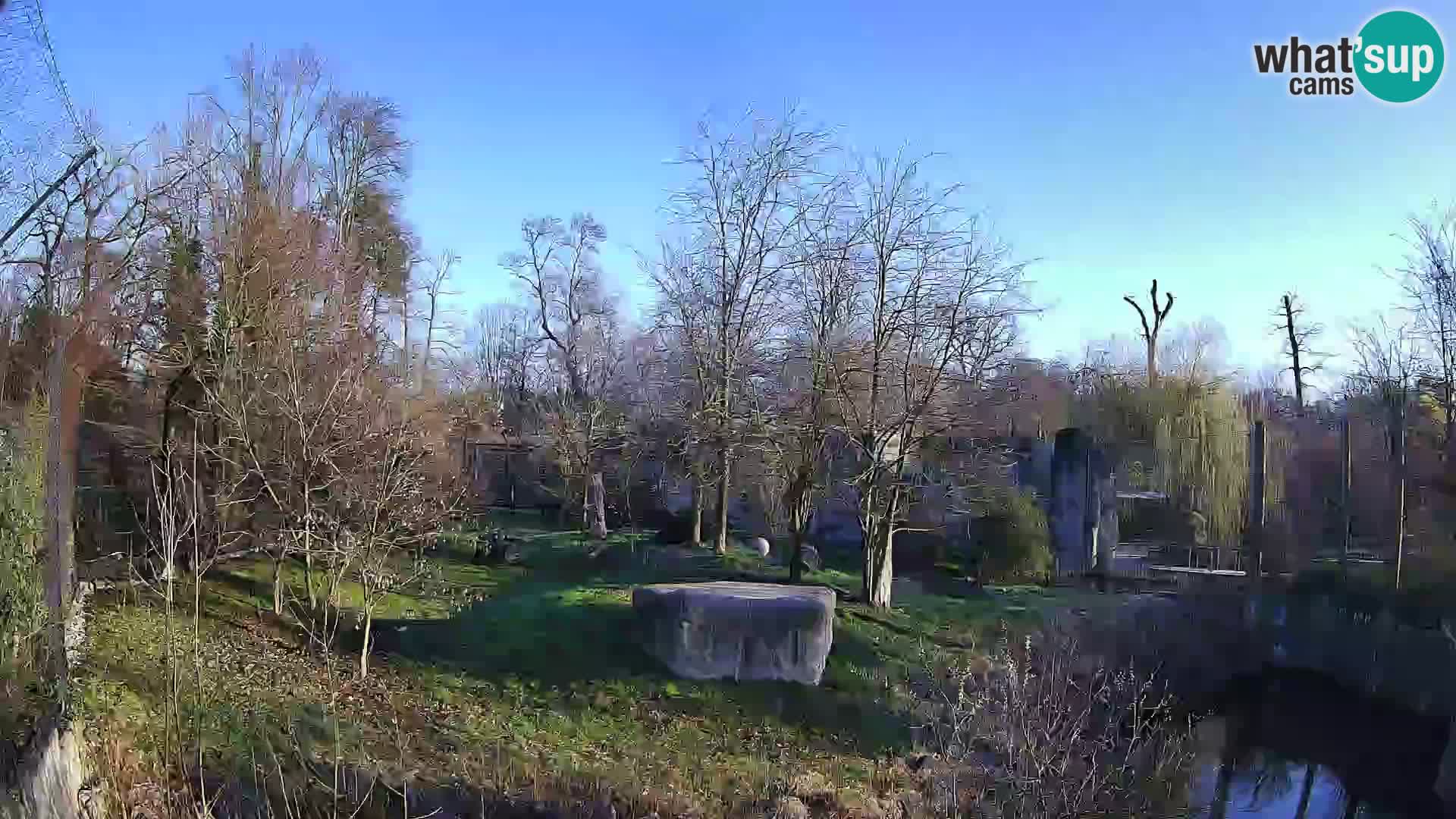 Zoo Zagreb – Leones