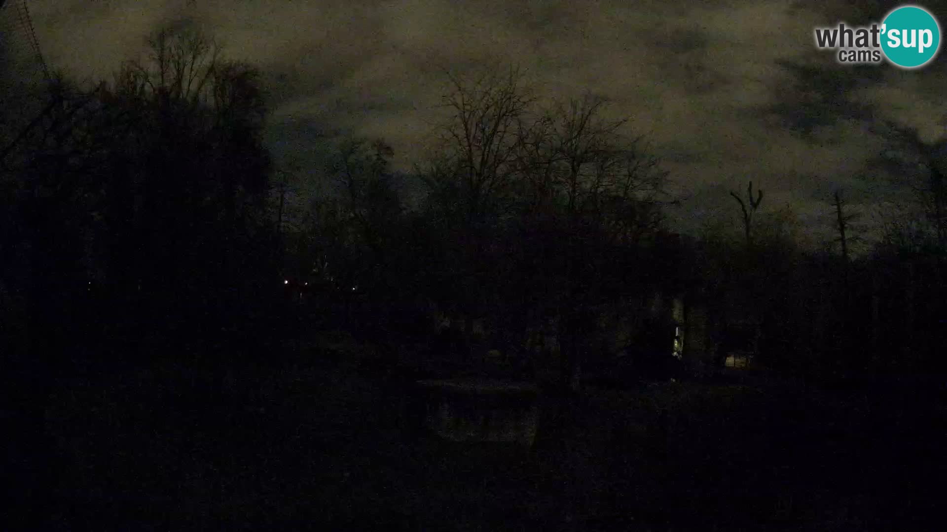 Zoo Zagreb – Lavovi