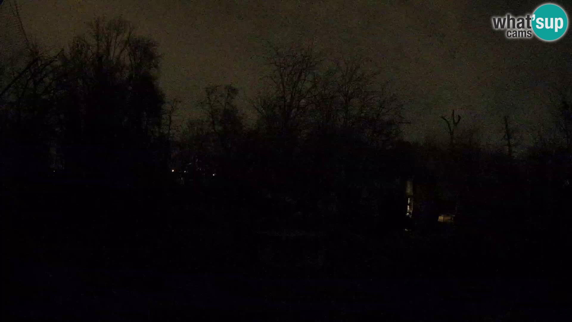 Zoo Zagreb – Lavovi