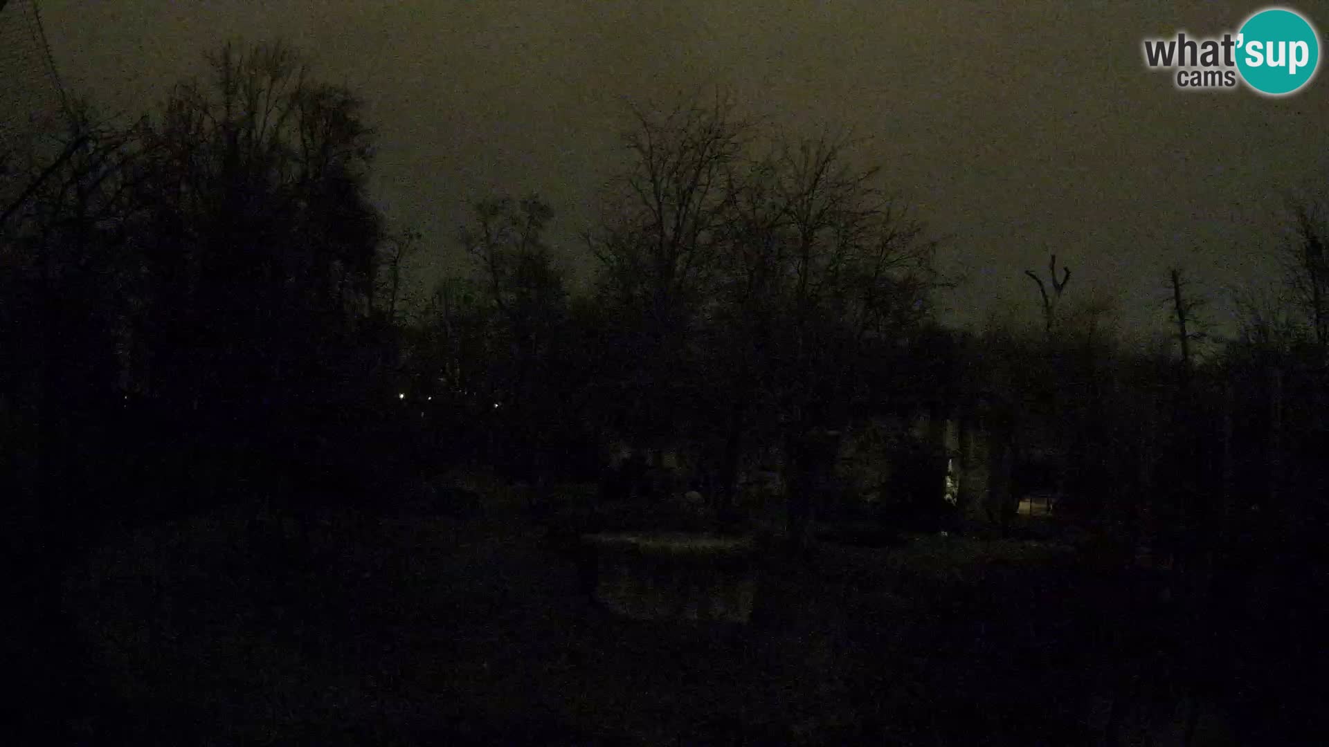 Zoo Zagreb – Lavovi