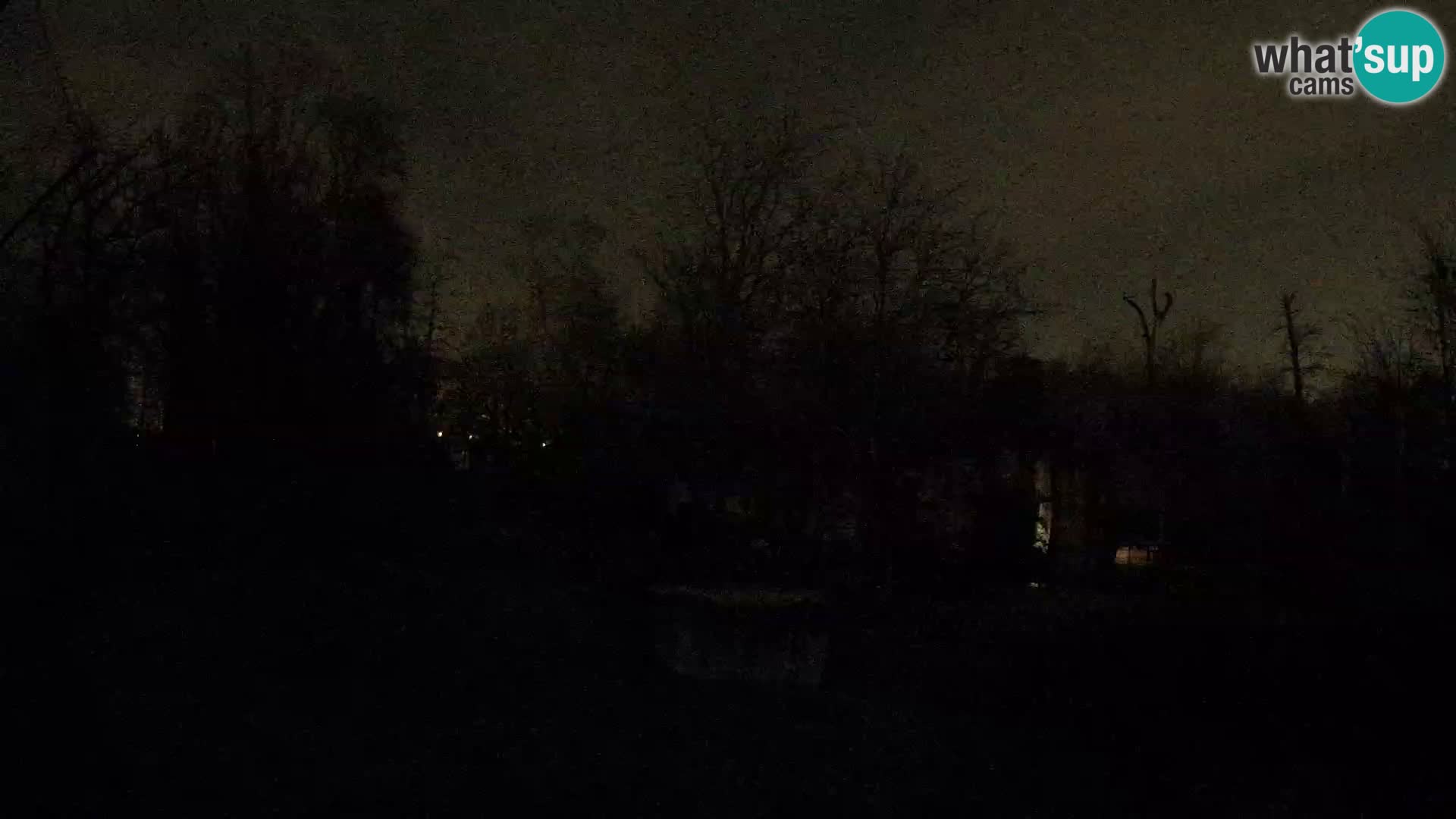 Zoo Zagreb – Lavovi