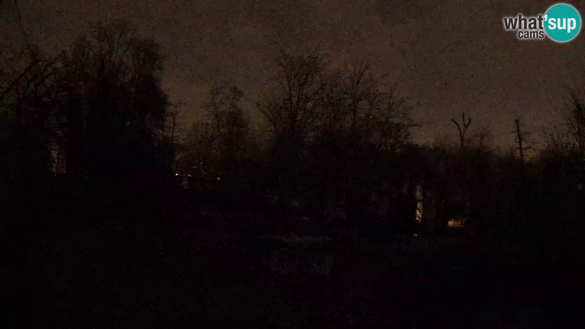 Zoo Zagreb – Löwen