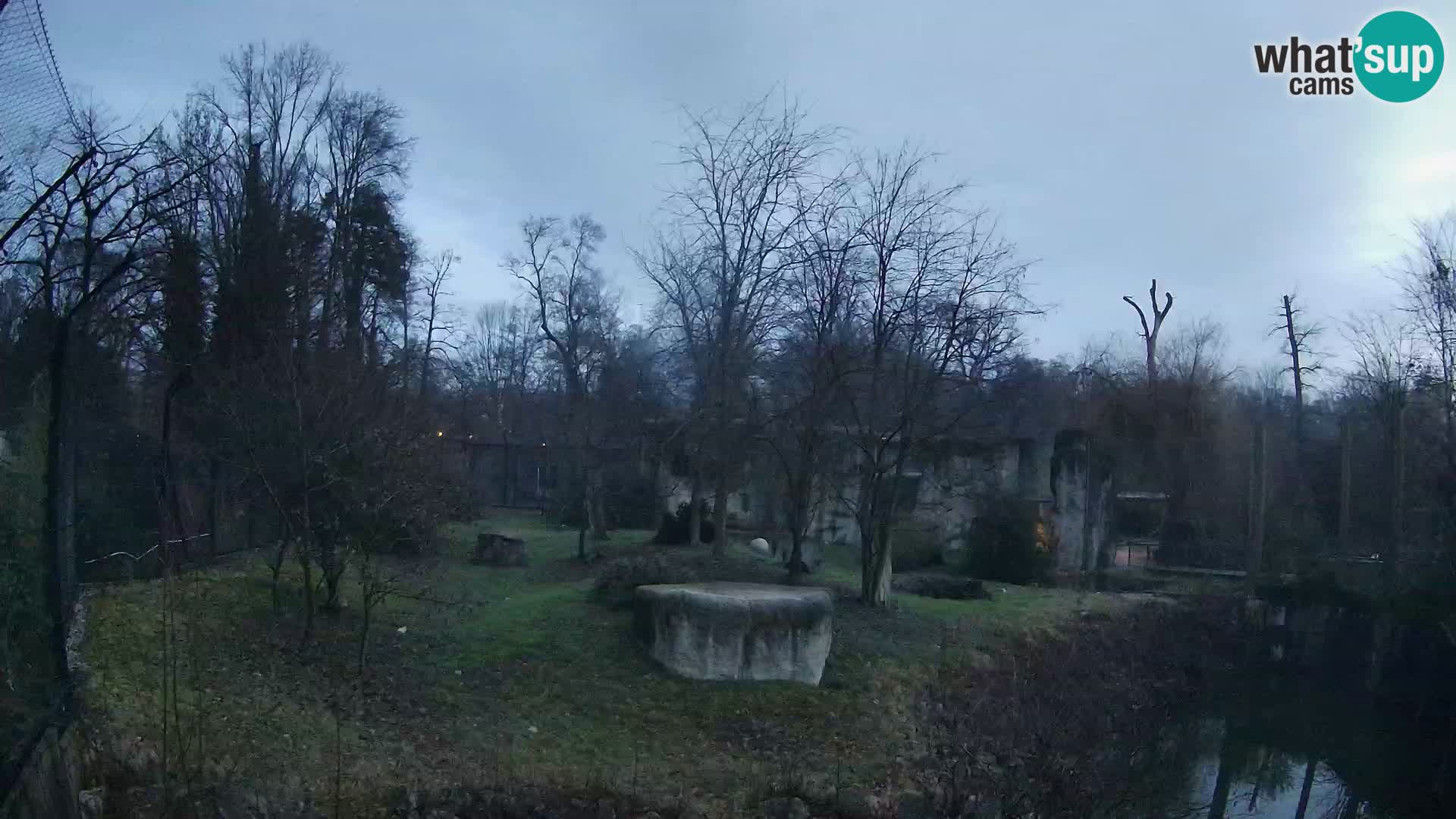 Zoo Zagreb – Leones