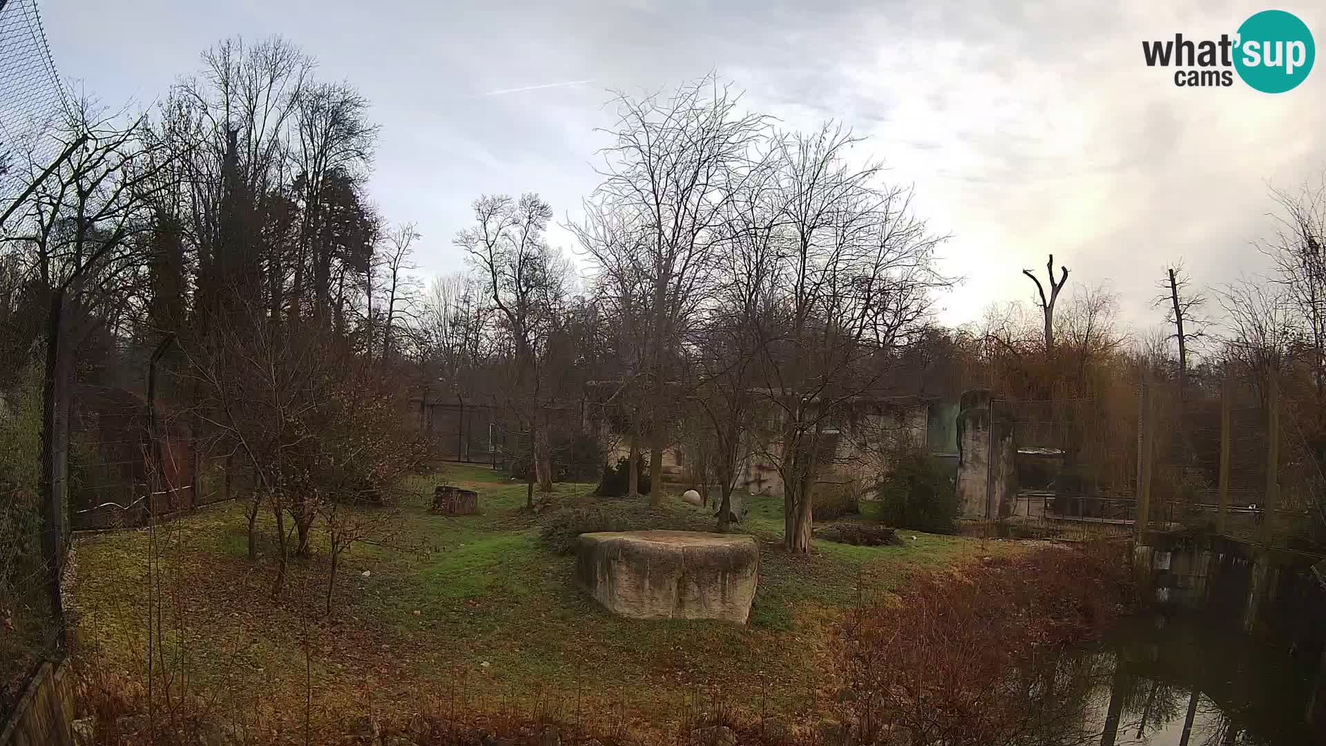 Zoo Zagreb – Löwen