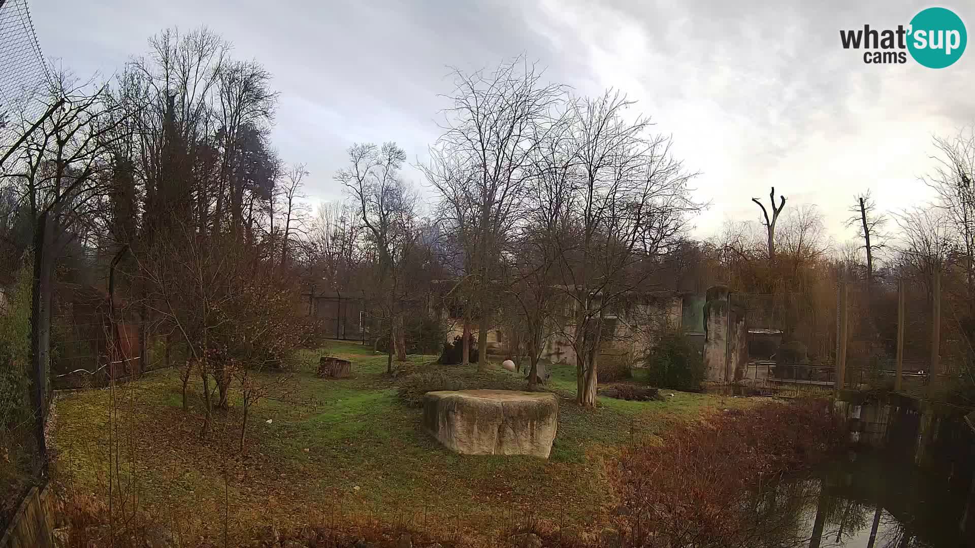 Zoo Zagreb – Leones