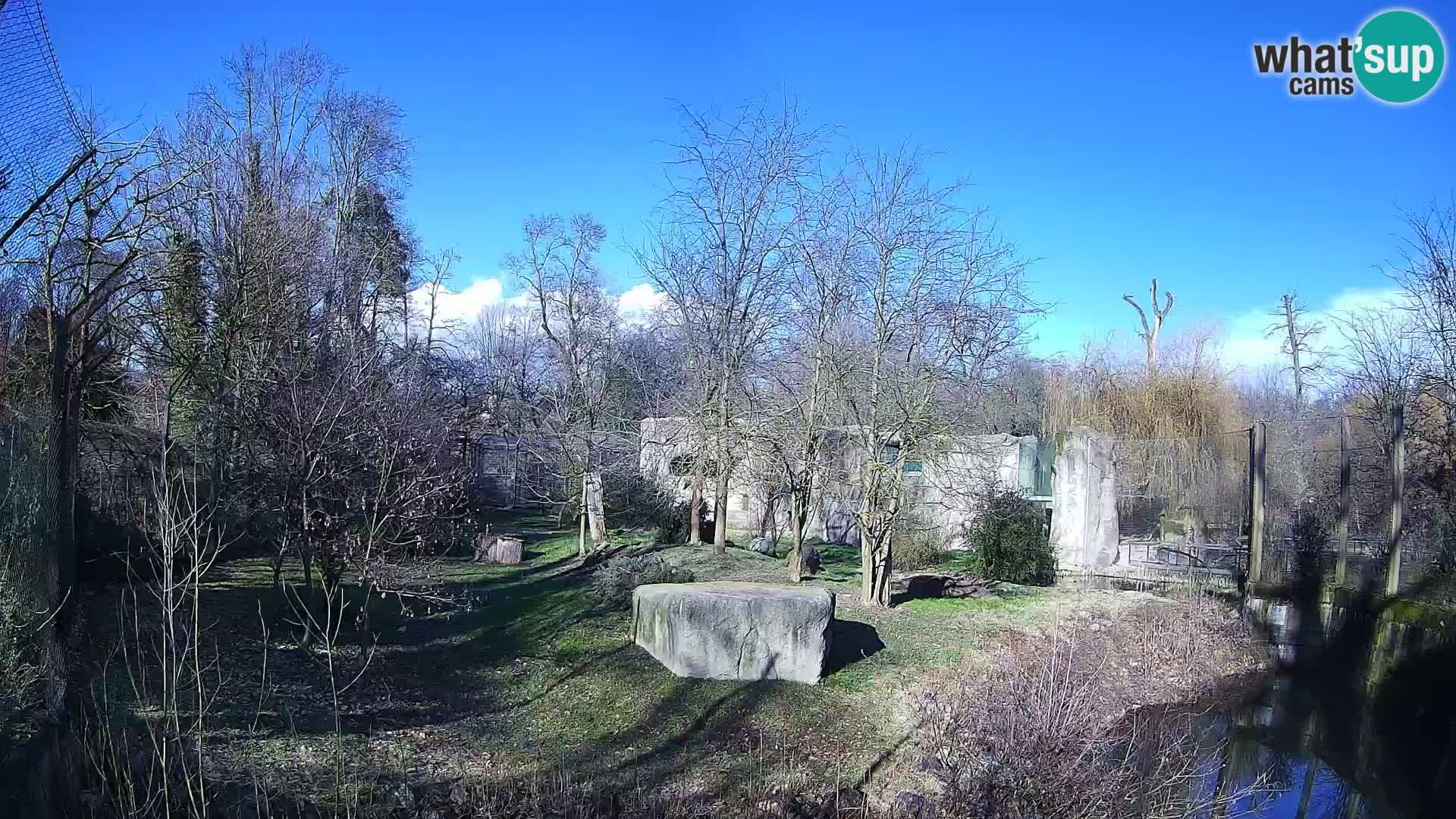 Zoo Zagreb – Löwen