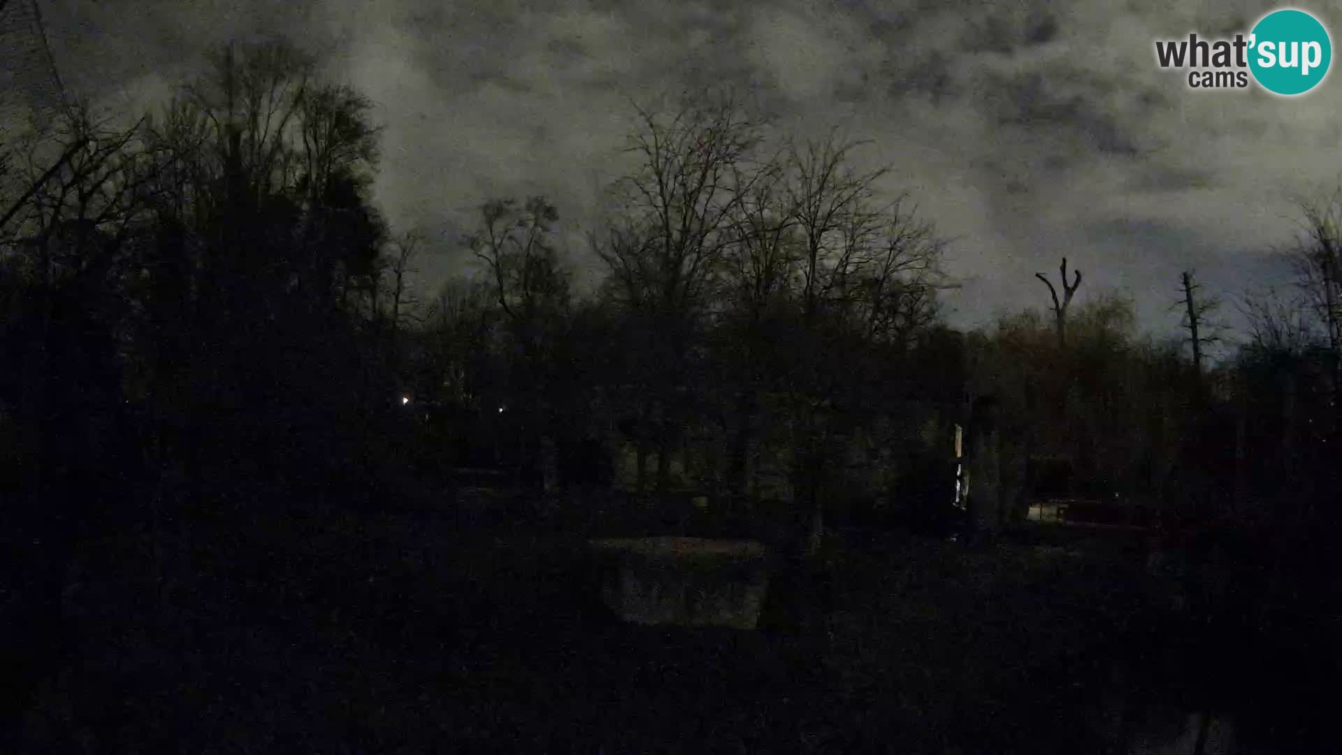 Spletna kamera Zoo Zagreb – Levi