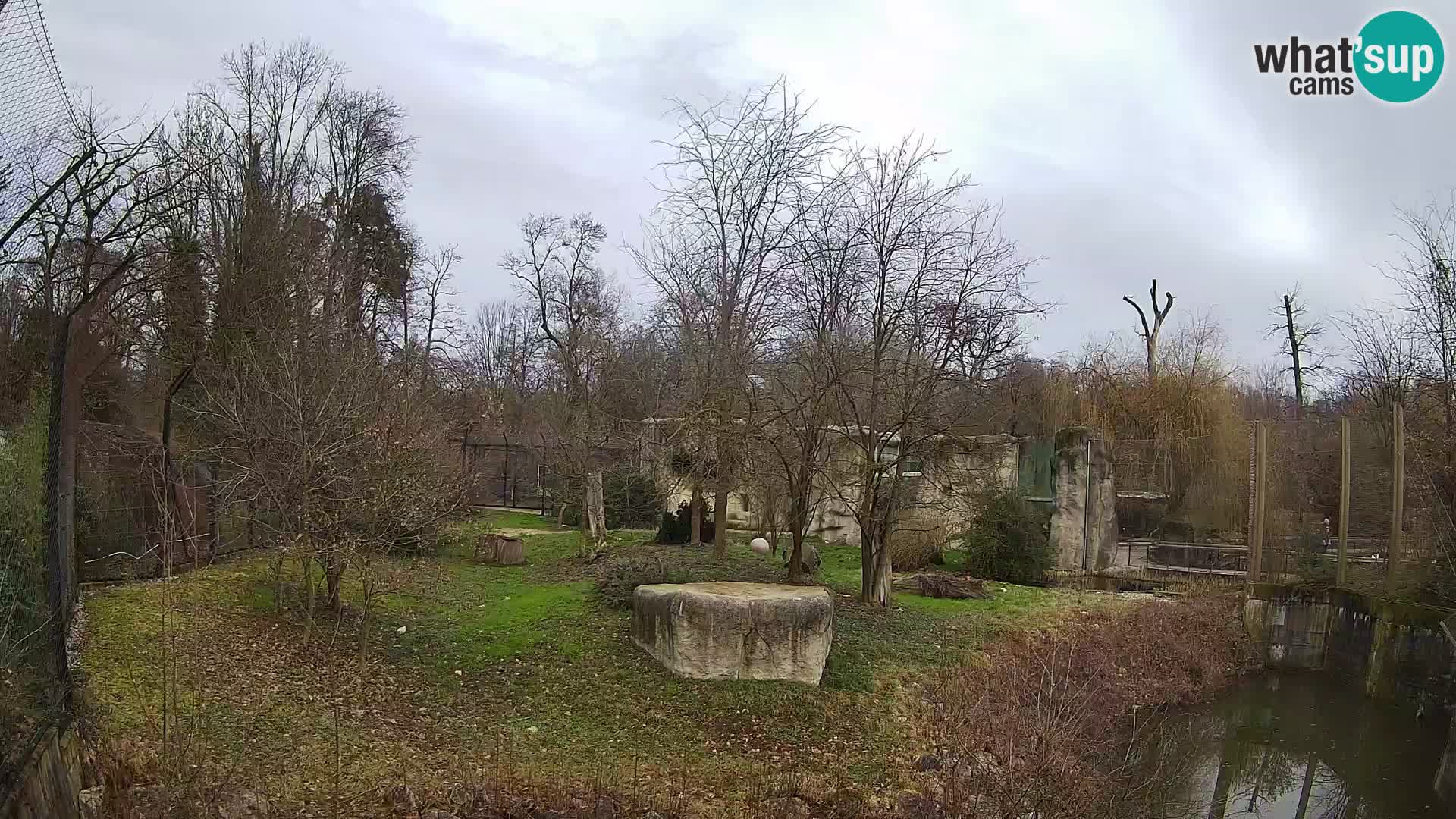 Zoo Zagreb – Lavovi