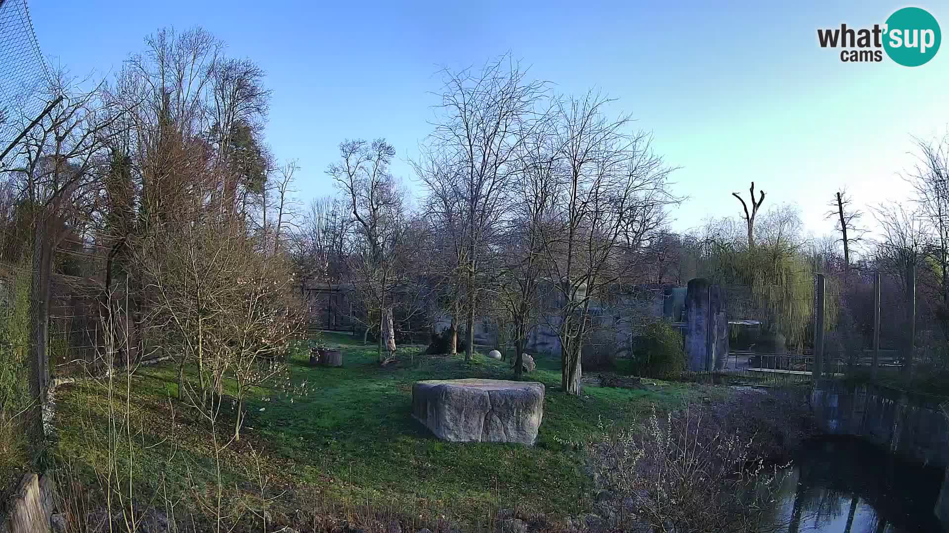 Zoo Zagreb – Leones