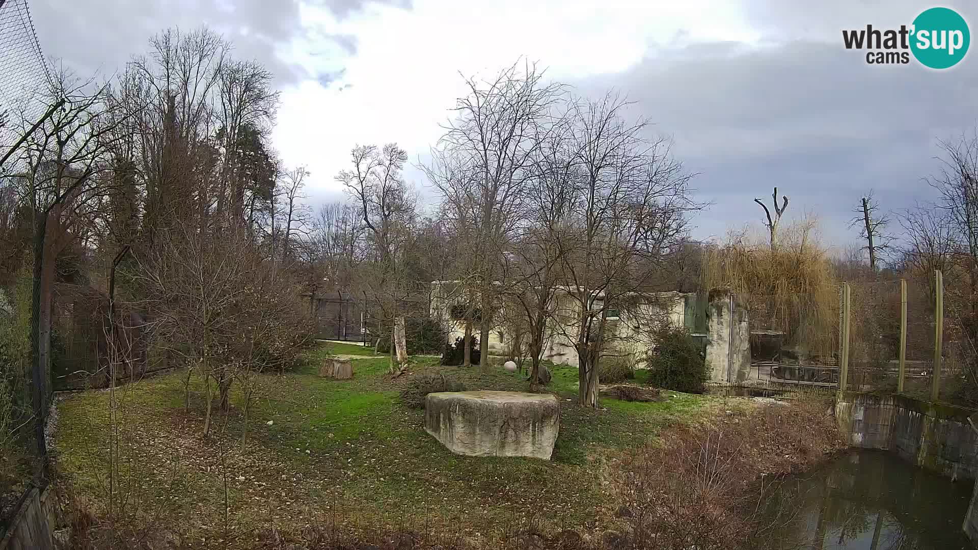 Zoo Zagreb – Löwen