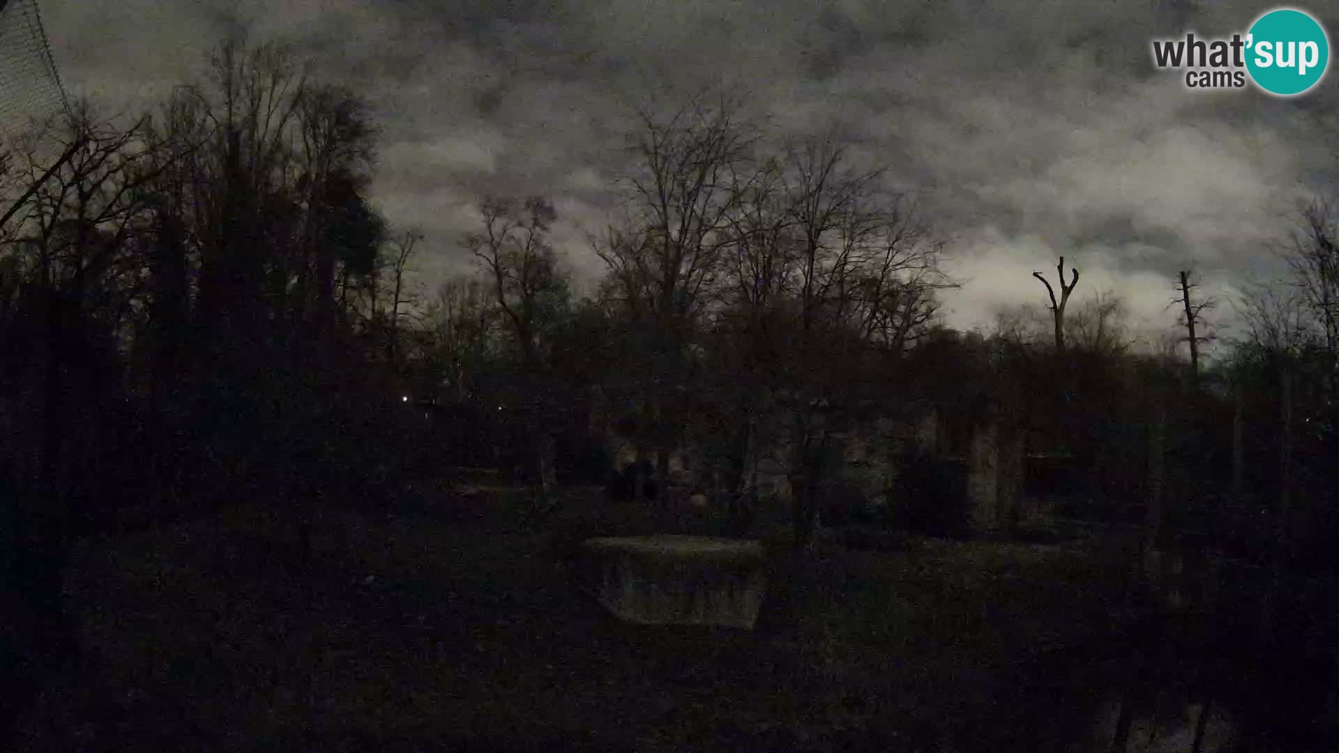 Zoo Zagreb – Leones