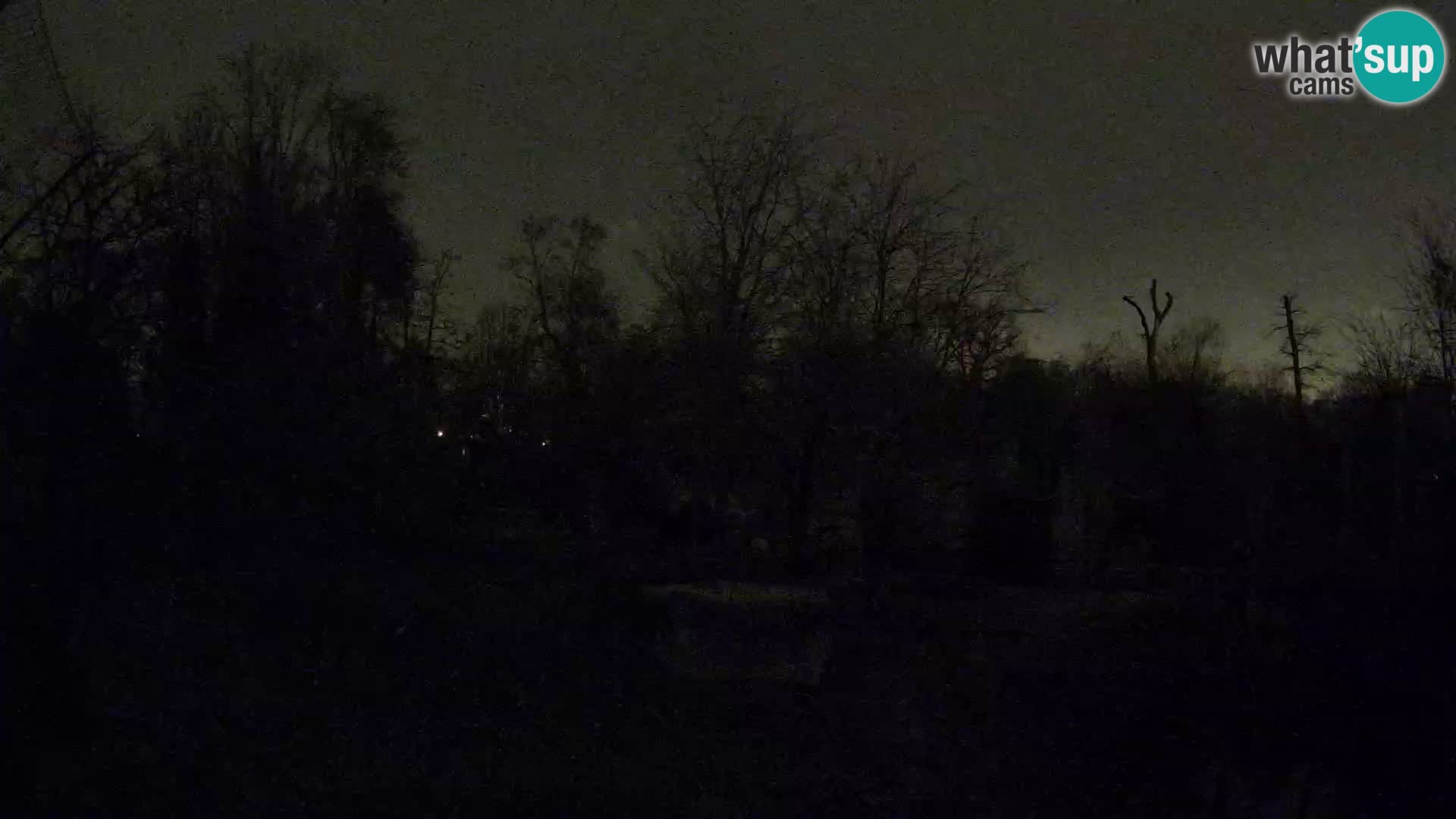 Zoo Zagreb – Leoni