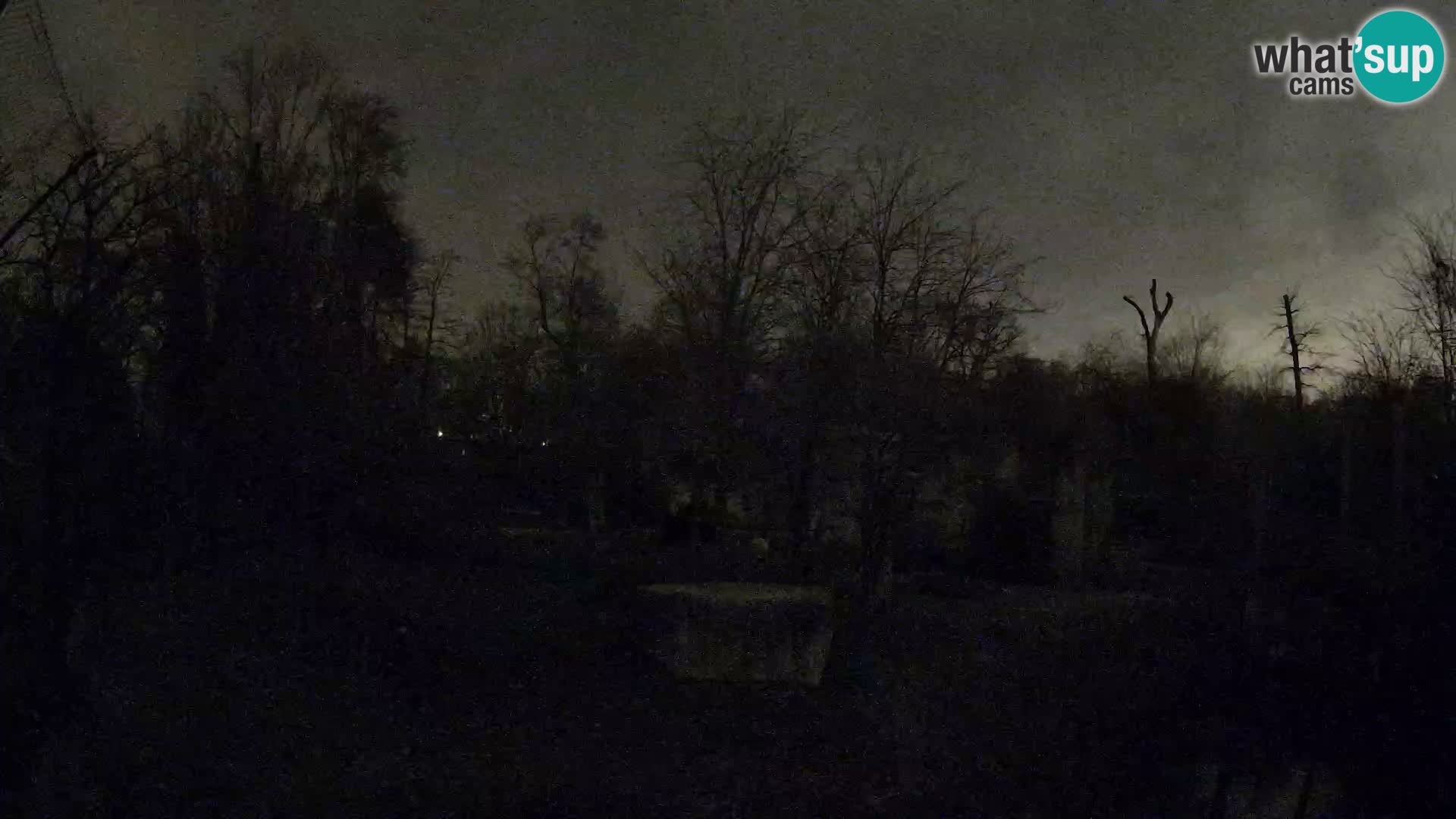 Zoo Zagreb – Leoni