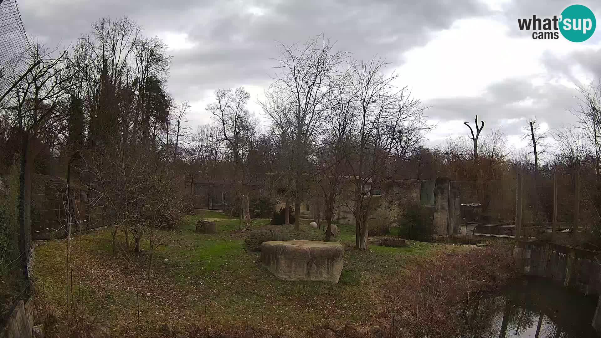 Zoo Zagreb – Lavovi