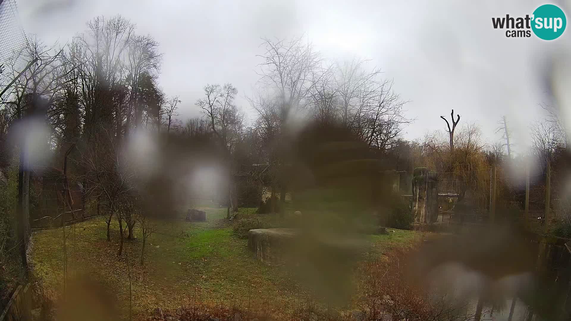 Zoo Zagreb – Leoni