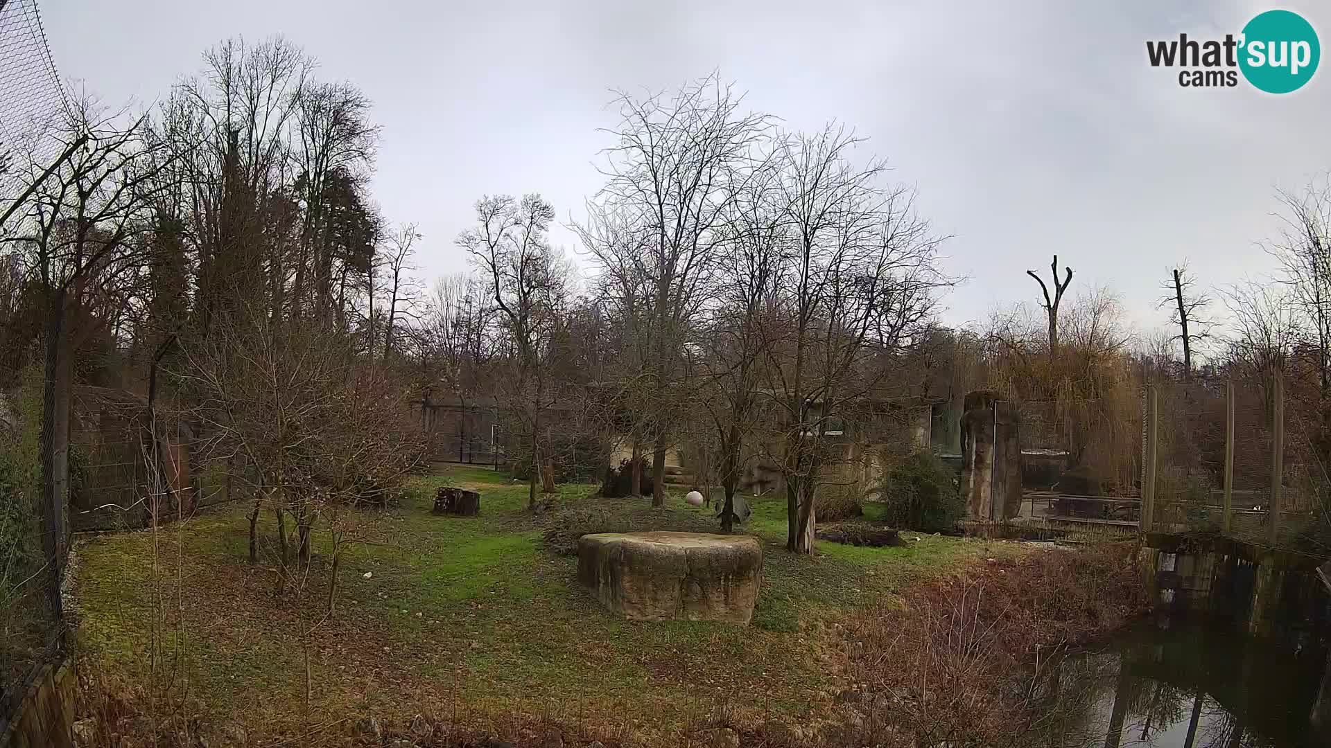 Zoo Zagreb – Leoni