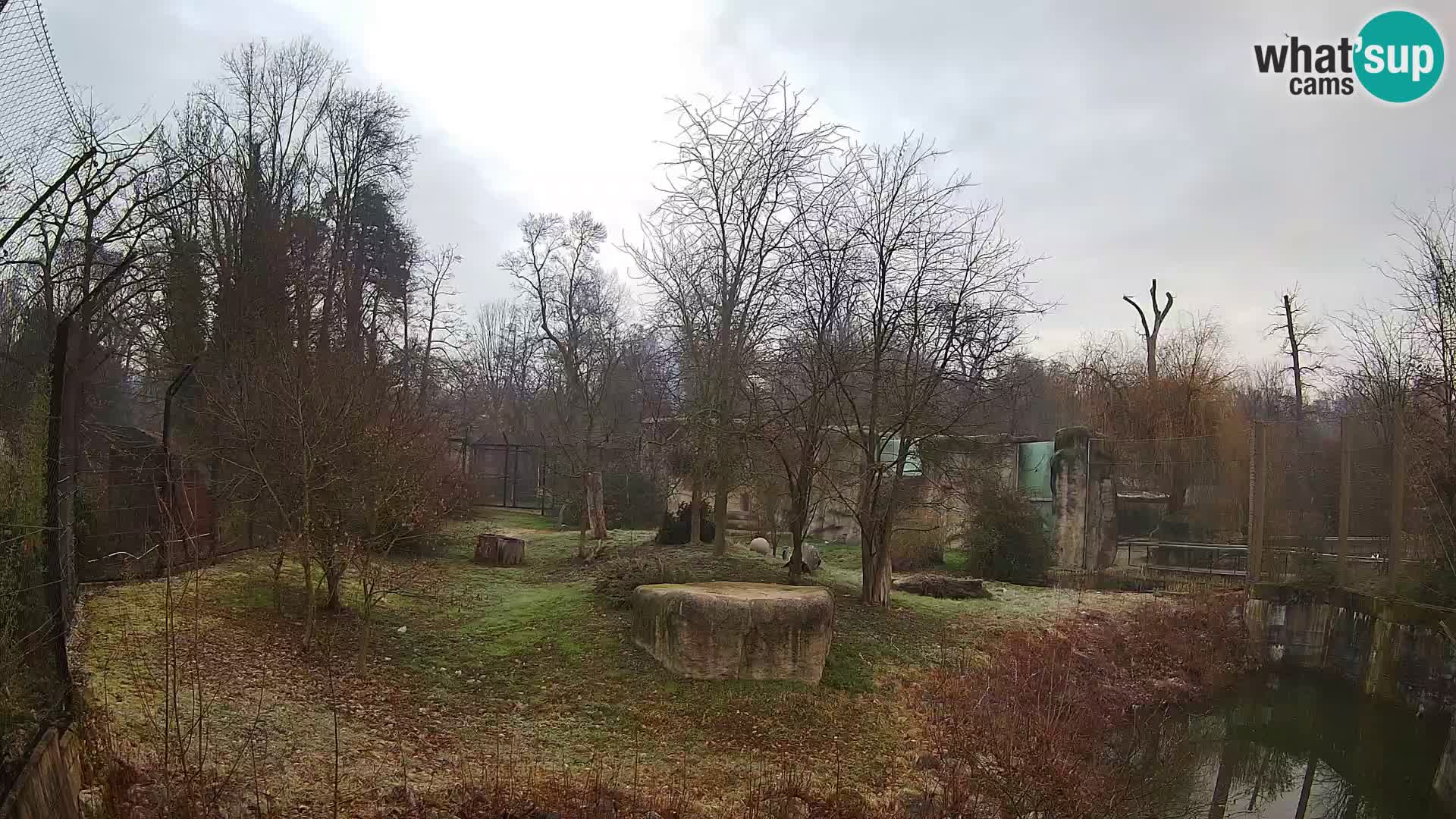 Zoo Zagreb – Leoni