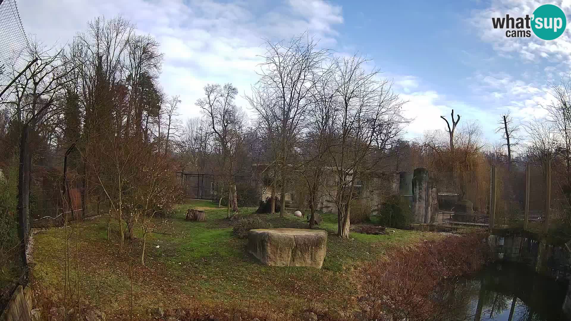 Zoo Zagreb – Leones