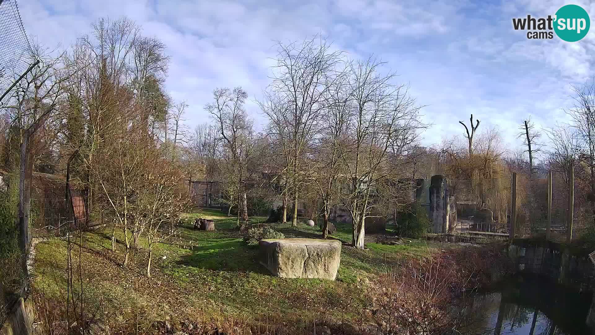 Spletna kamera Zoo Zagreb – Levi