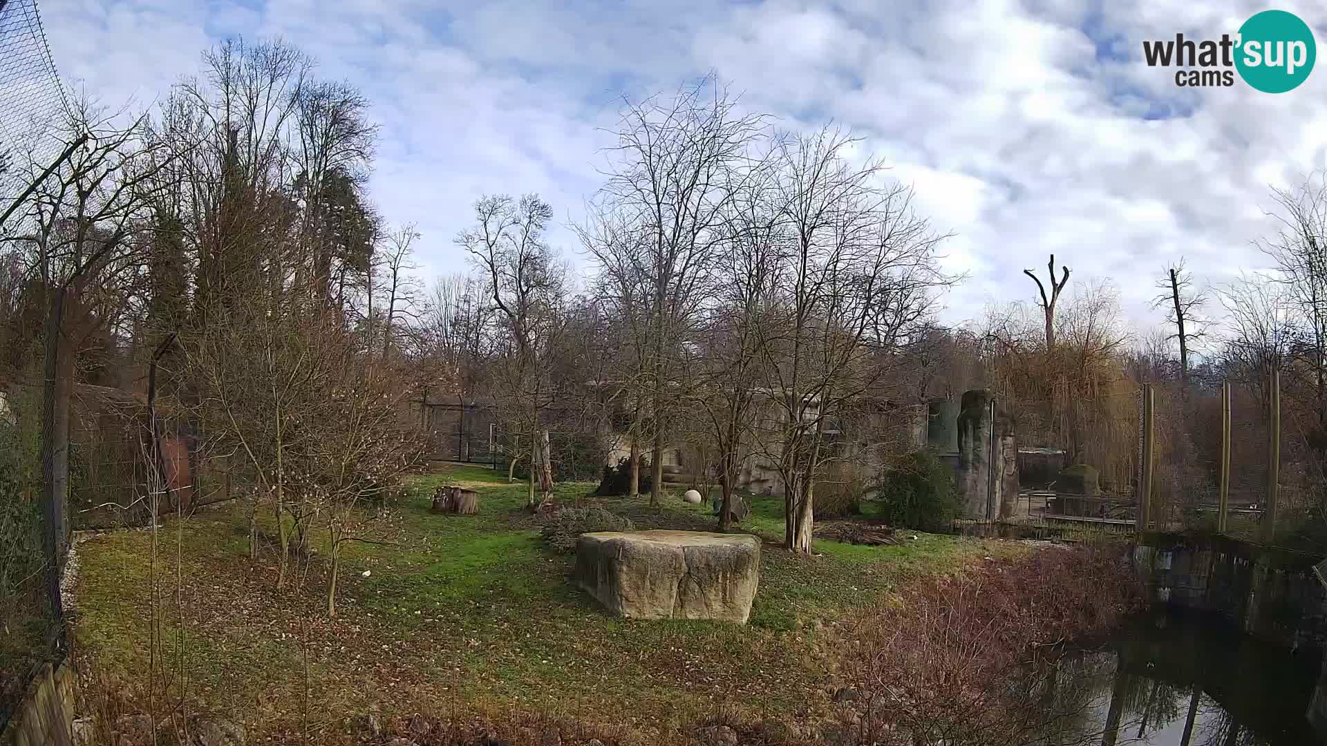 Zoo Zagreb – Löwen