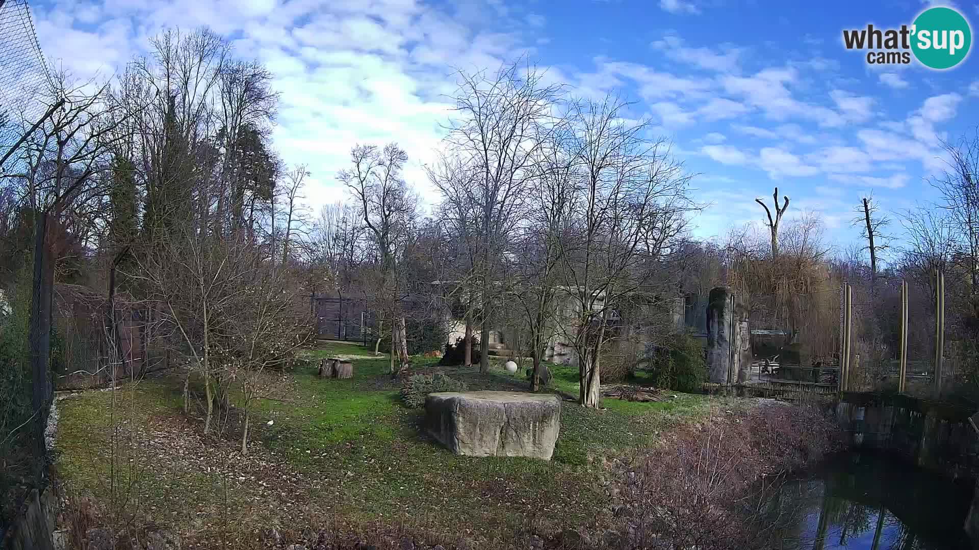 Zoo Zagreb – Löwen