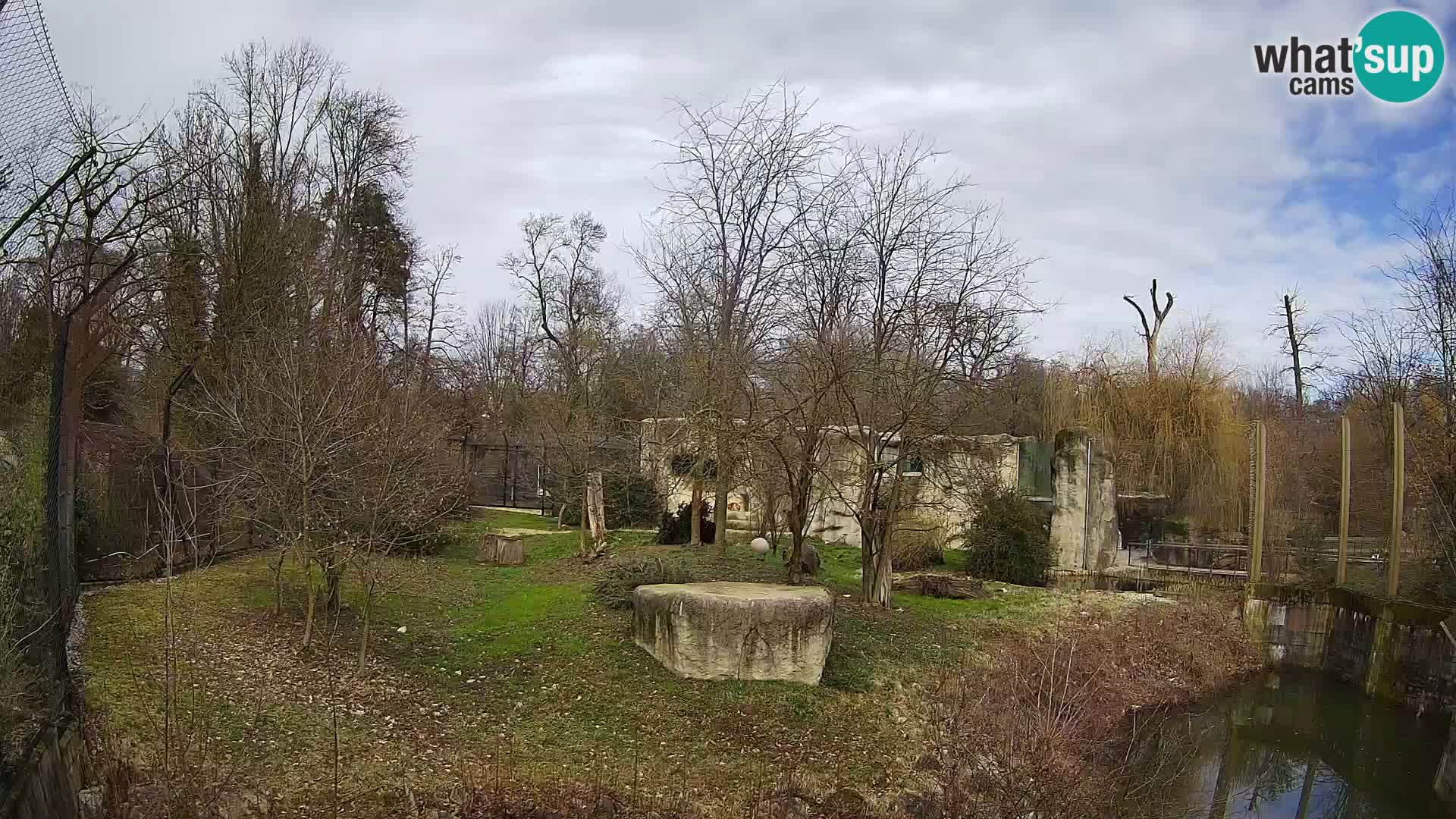 Zoo Zagreb – Löwen