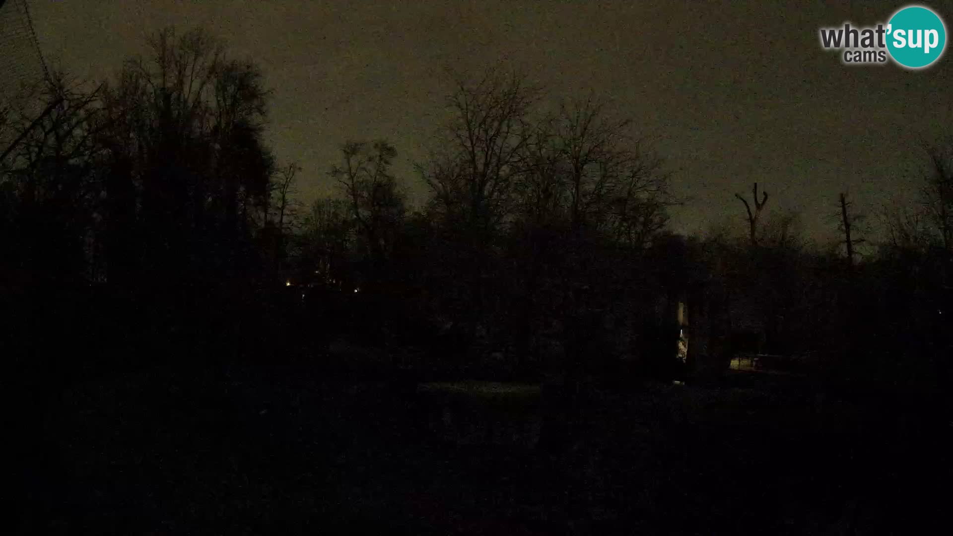 Zoo Zagreb – Leoni