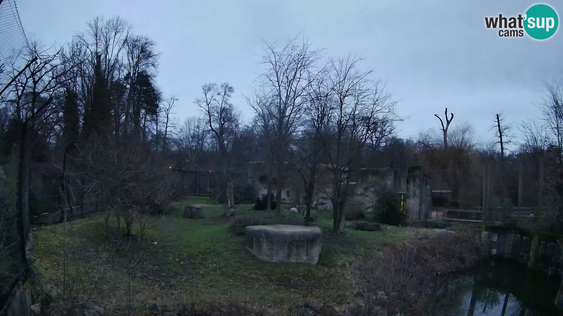 Zoo Zagreb – Leoni