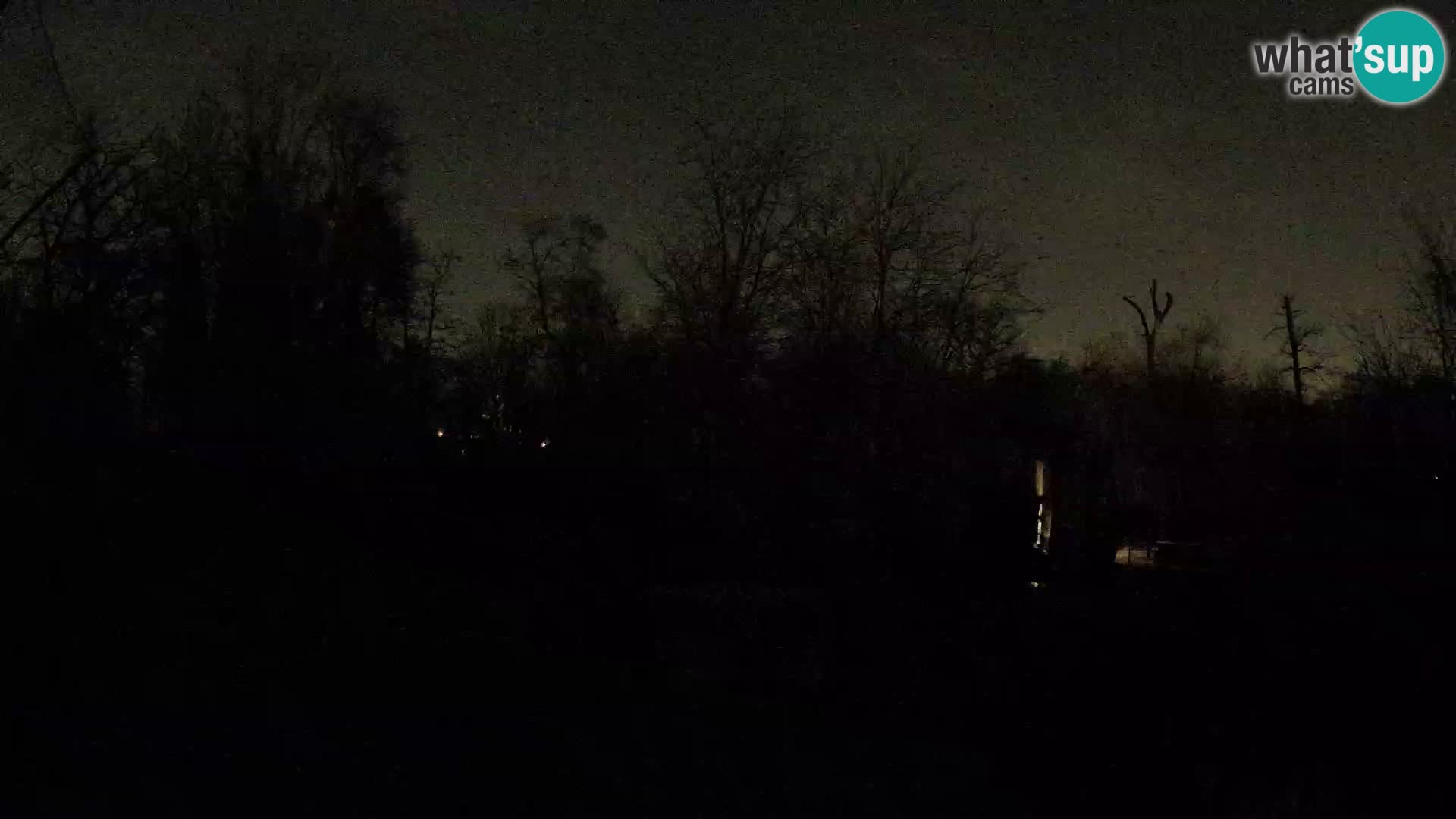 Zoo Zagreb – Lavovi