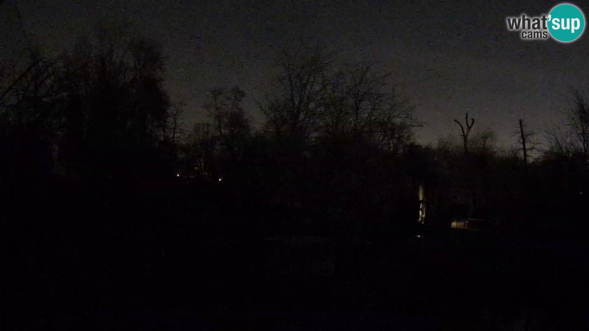 Zoo Zagreb – Lavovi