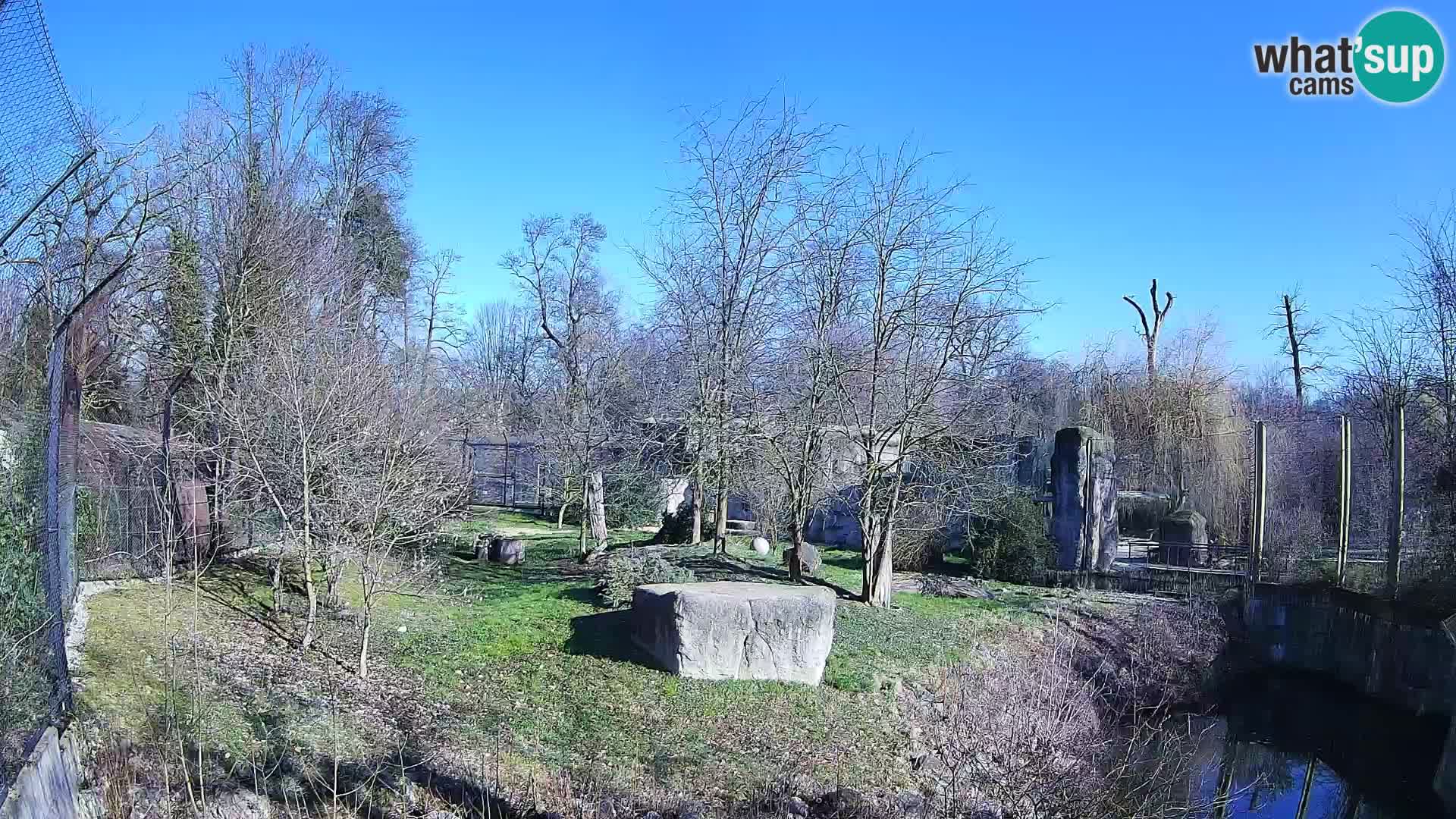 Zoo Zagreb – Löwen