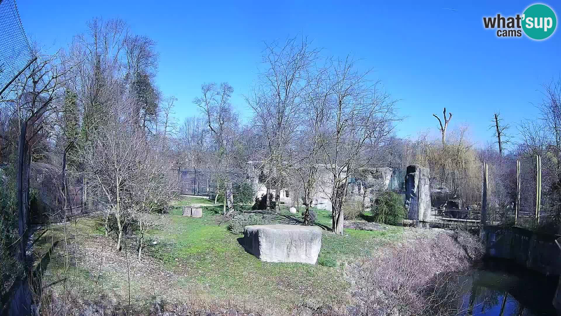 Zoo Zagreb – Löwen