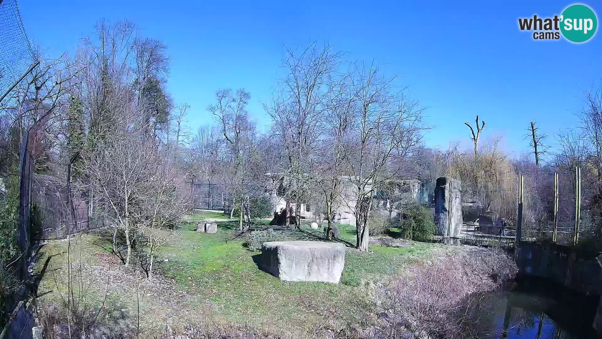 Zoo Zagreb – Löwen