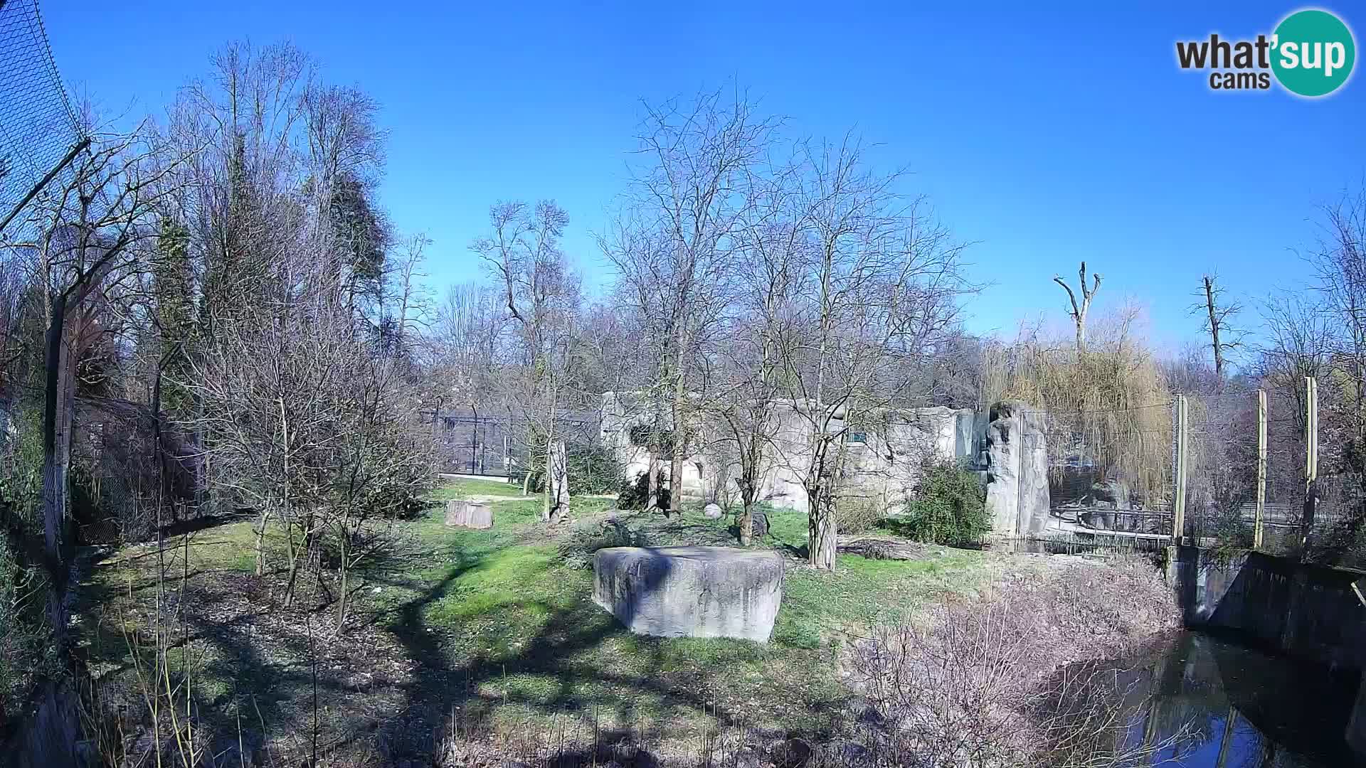 Zoo Zagreb – Löwen