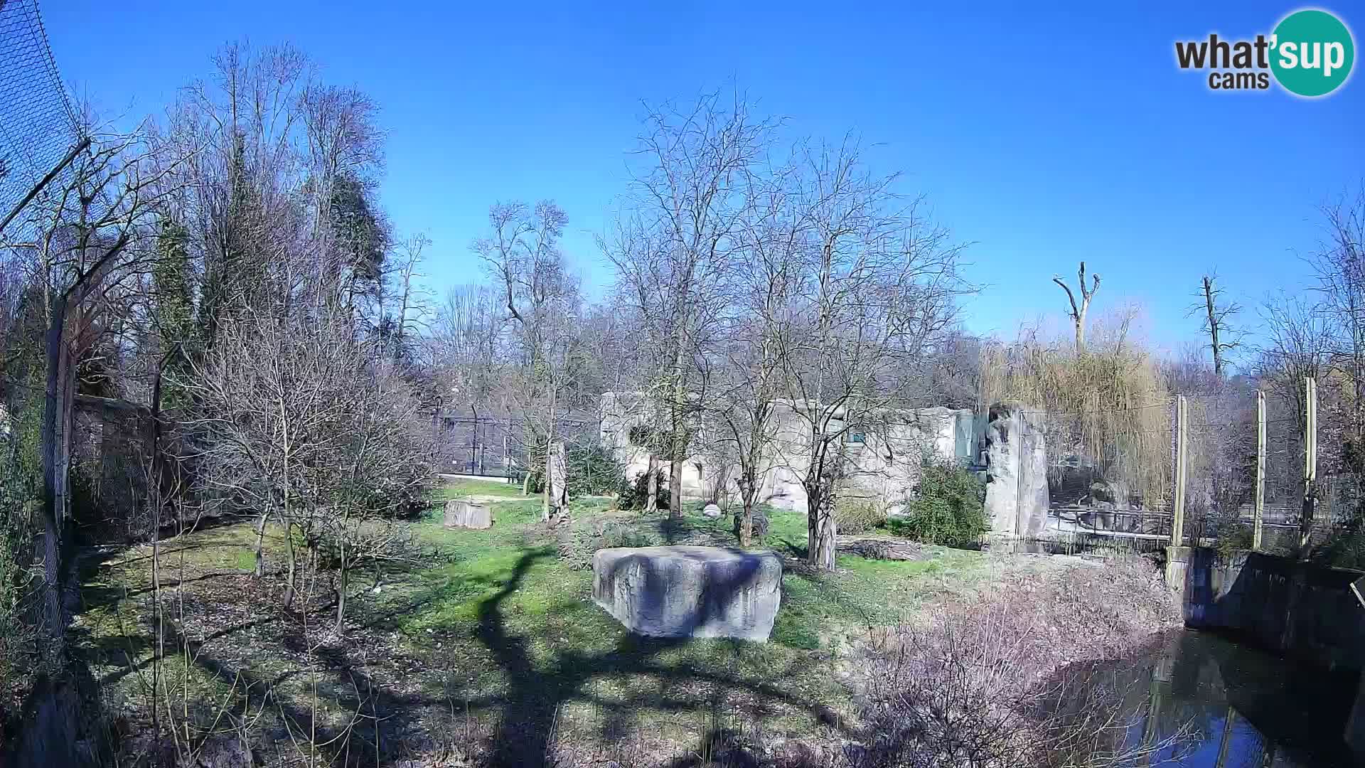 Zoo Zagreb – Löwen