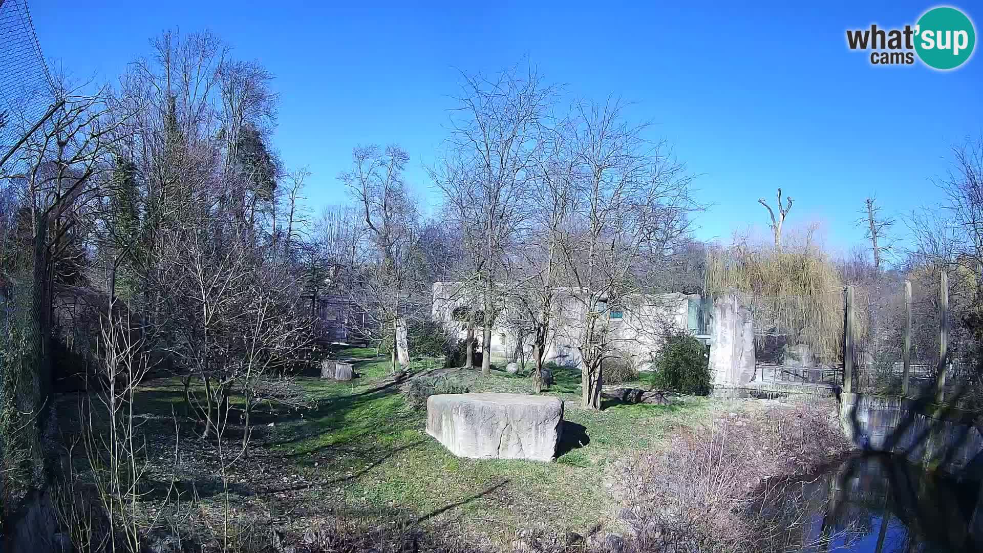 Zoo Zagreb – Leones