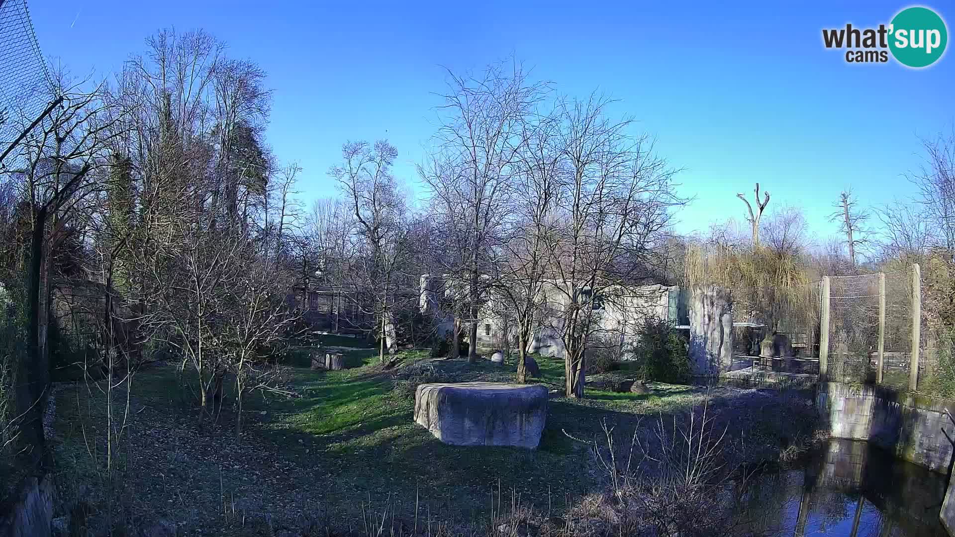 Zoo Zagreb – Leones