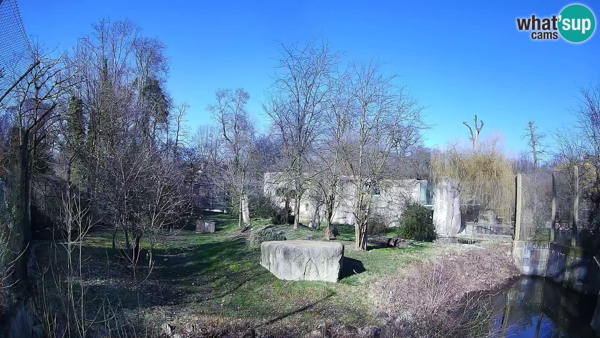 Zoo Zagreb – Leoni