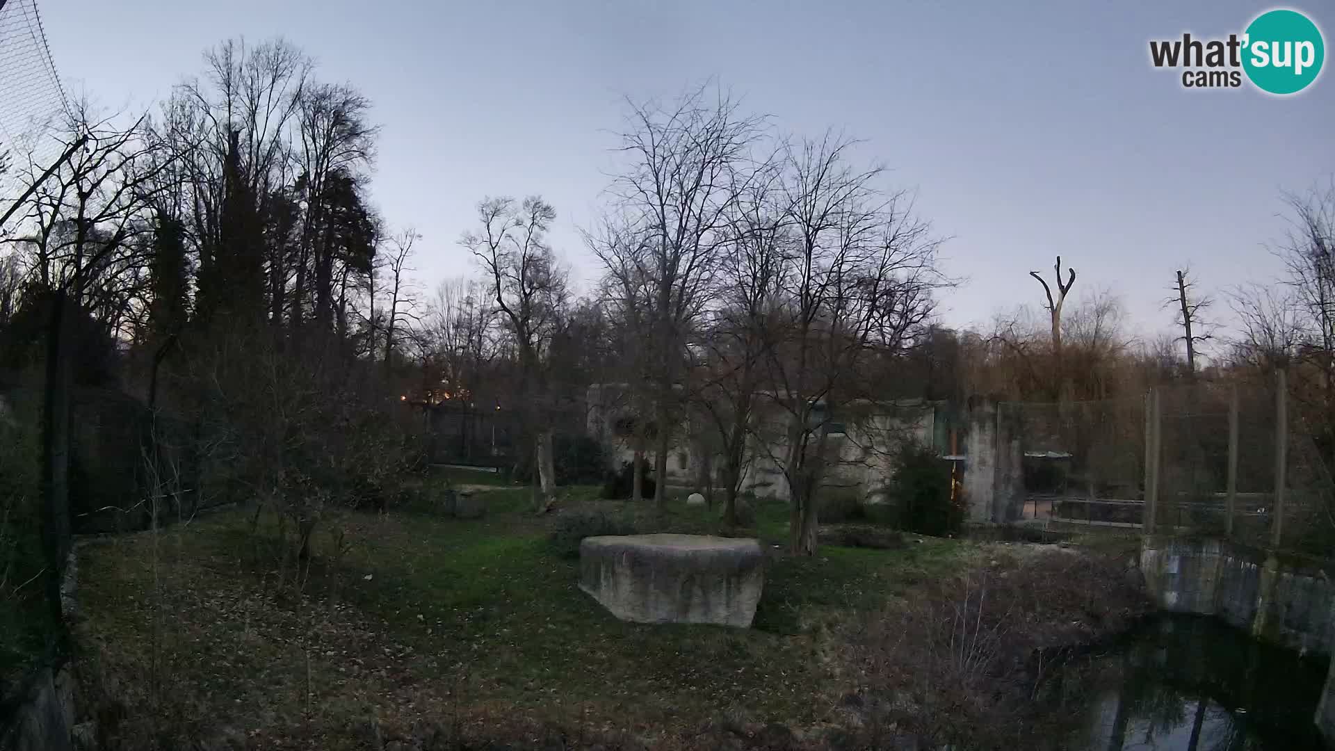 Zoo Zagreb – Löwen