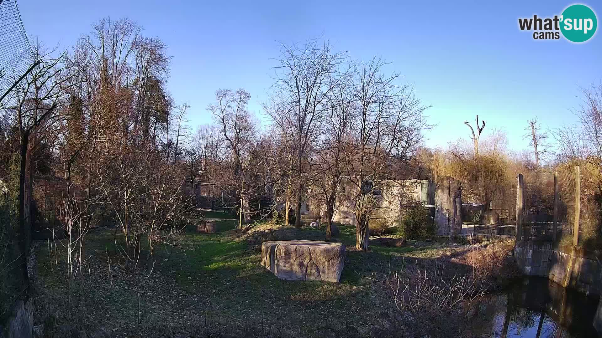 Zoo Zagreb – Leones